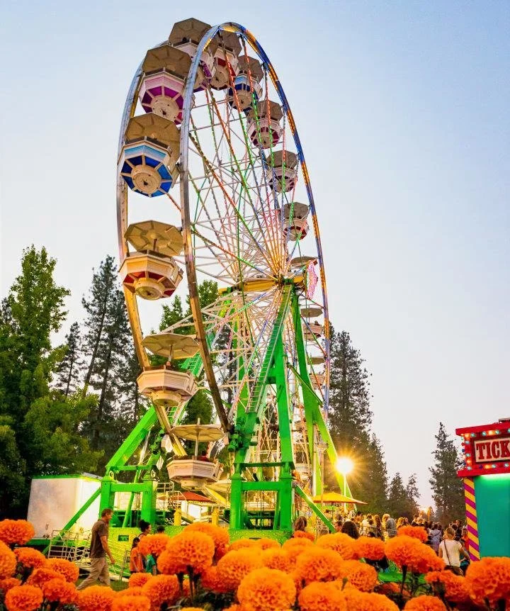 August in Nevada County: Where Summer Says Goodbye in Gold