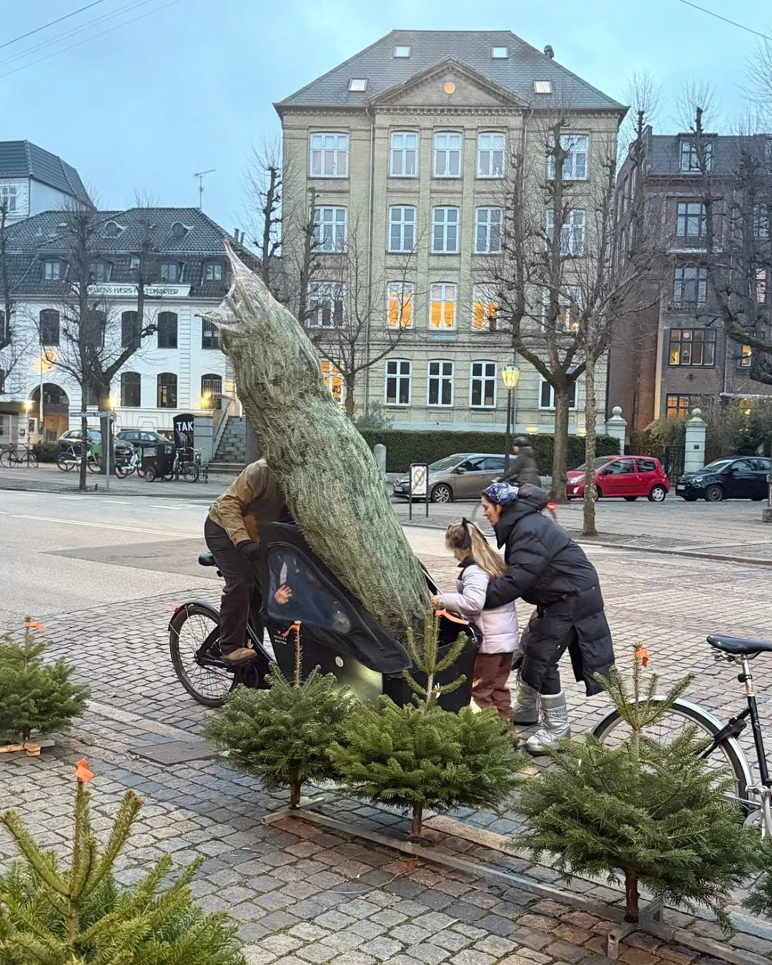 Here&rsquo;s to new beginnings and new traditions while cherishing the old ones! Even though the Christmas season might end officially tomorrow .. at least in Austria, I wanted to share my first Christmas in Scandinavia: endless blue ocean views, cal