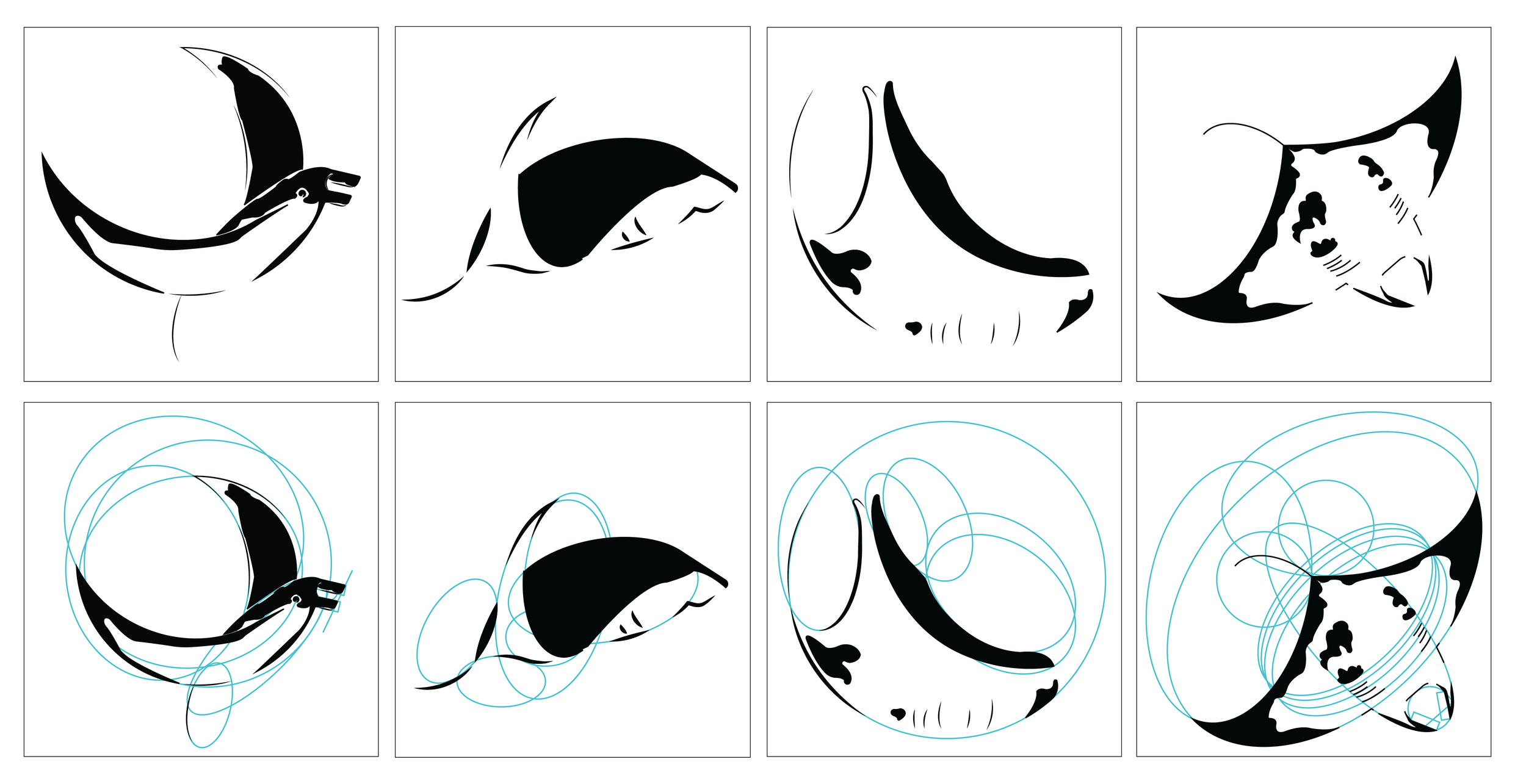 Progression of an animated illustration of a manta ray, starting from a simple line drawing to a detailed depiction with swirling blue lines surrounding it.