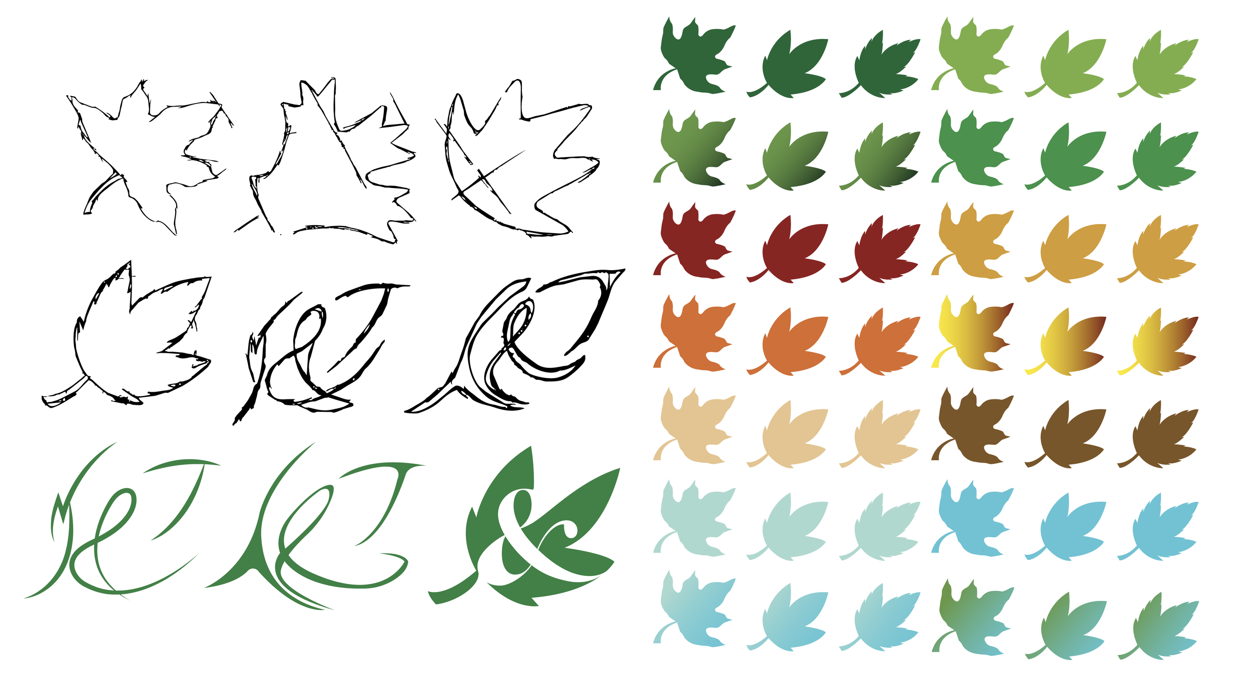 A set of digital illustrations of maple leaves and decorative lettering in various colors. The leaves include black and white sketches, solid colors, and gradient-filled versions in green, red, orange, beige, brown, blue, and teal. The lettering features cursive, stylized words and initials.