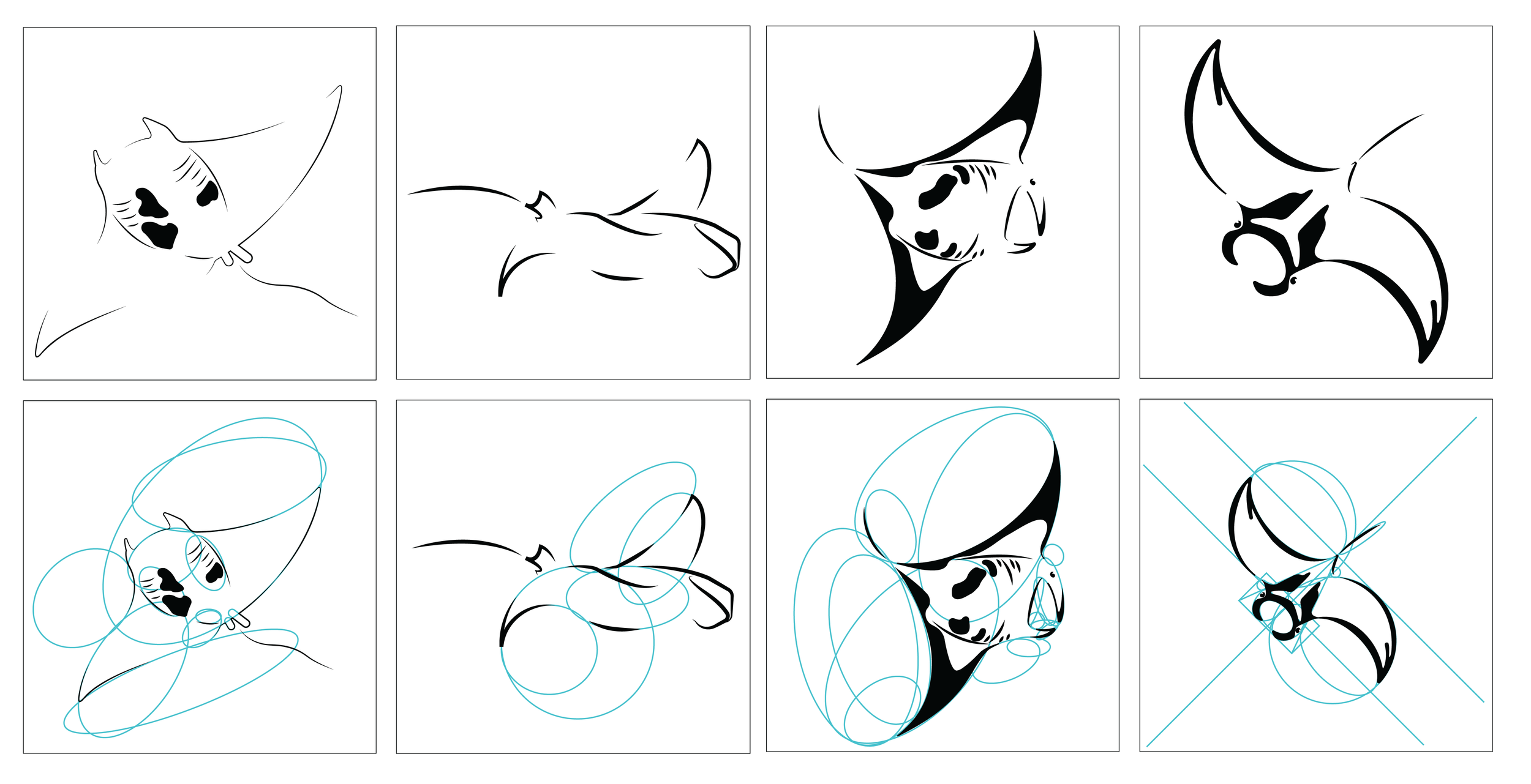 Progression of an illustration of a cat with floral markings, beginning as simple line sketches and evolving into a detailed design, ending with structural guidelines.