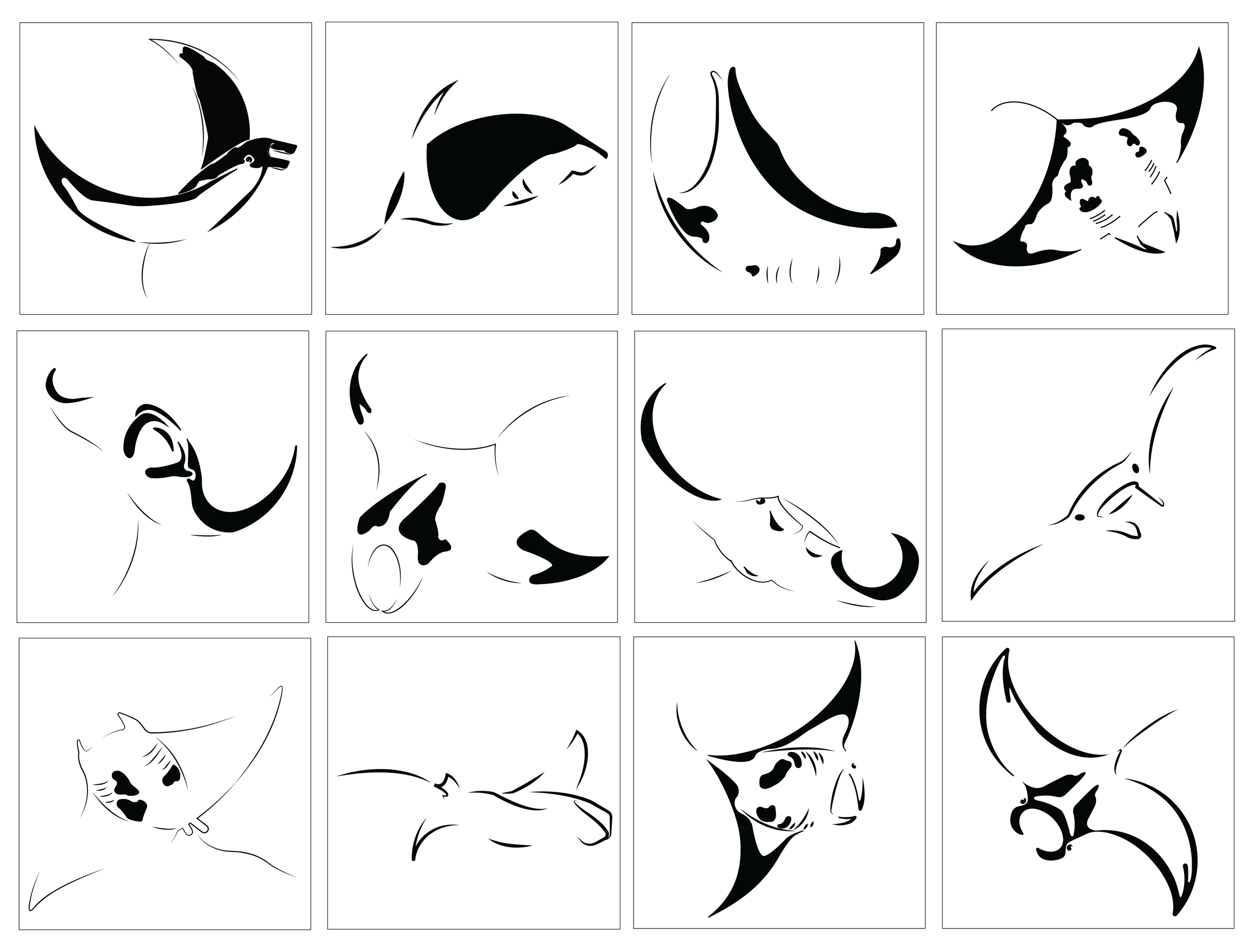 Collection of 12 minimalist black and white illustrations of various fish and aquatic creatures, each in a square frame.