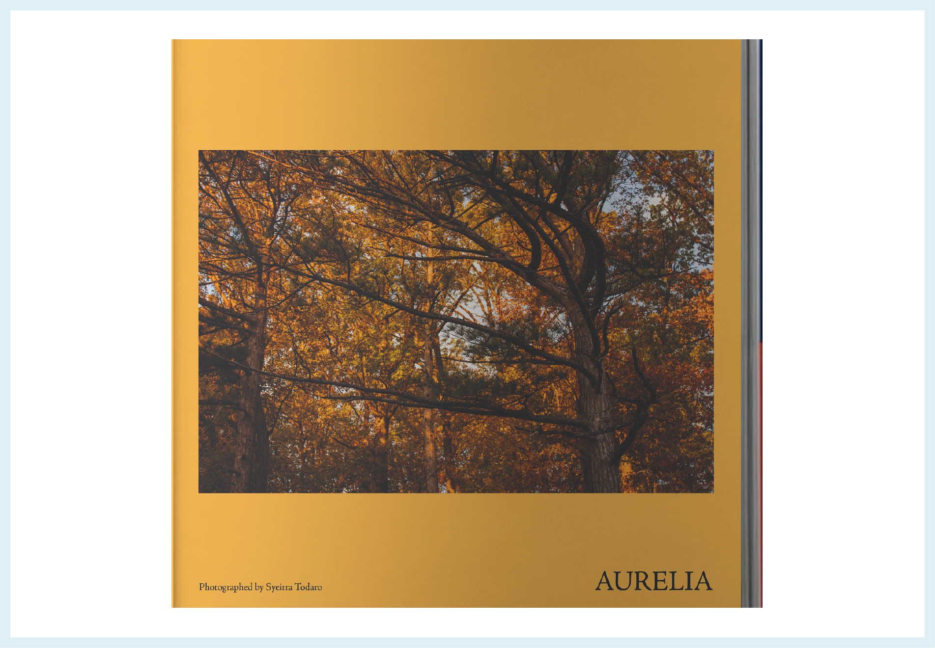 Cover of a photobook titled "AURELIA" with a photograph of autumn trees with orange and yellow leaves on the cover.