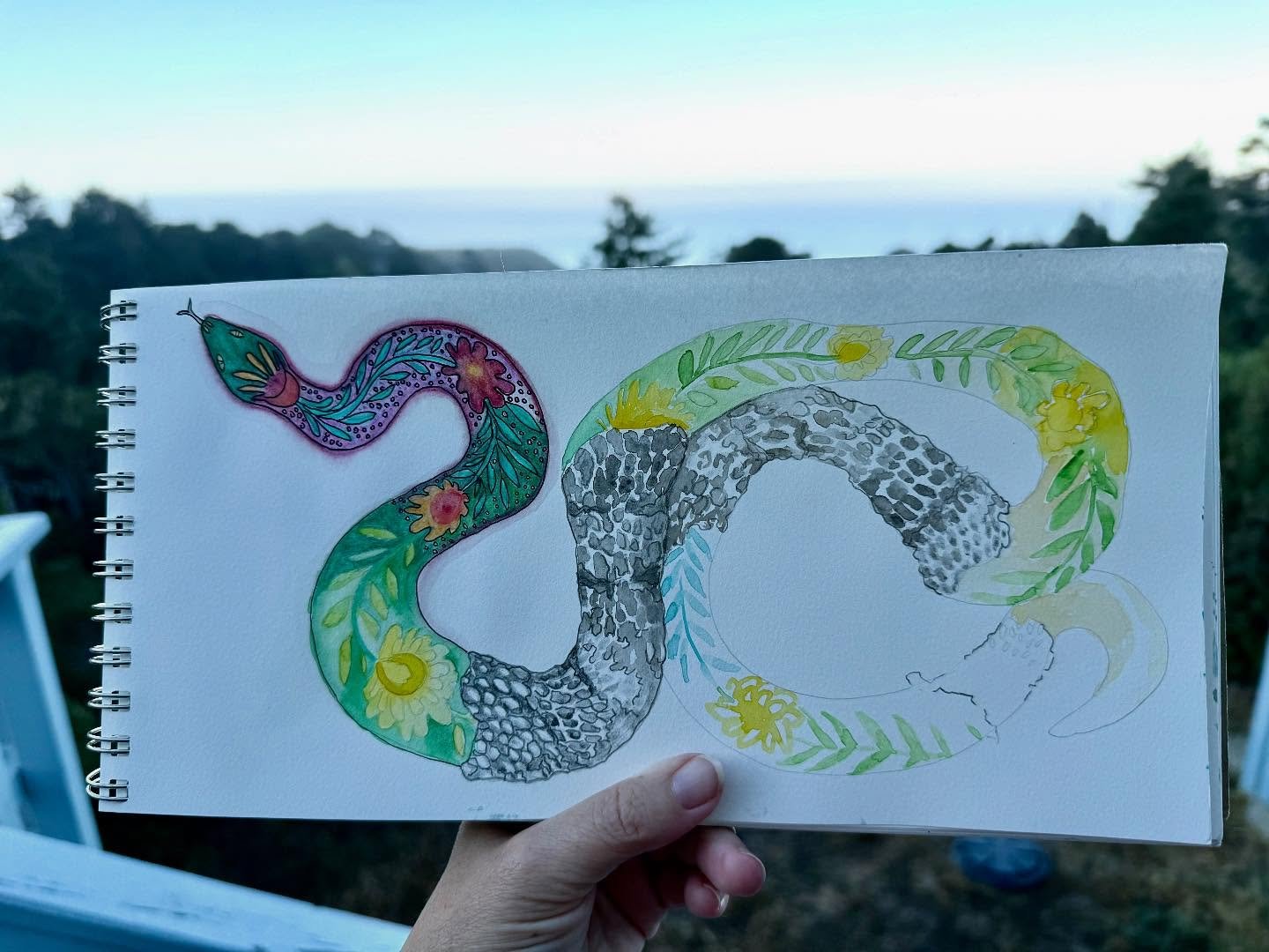 Shedding old skin, greeting the equinox.
Cycles, change, renewal.
🐍✨
Grateful to @sue_bradford for the coastal pause where this little snake found my sketchbook.

#autumnequinox #timetoshed #transformation