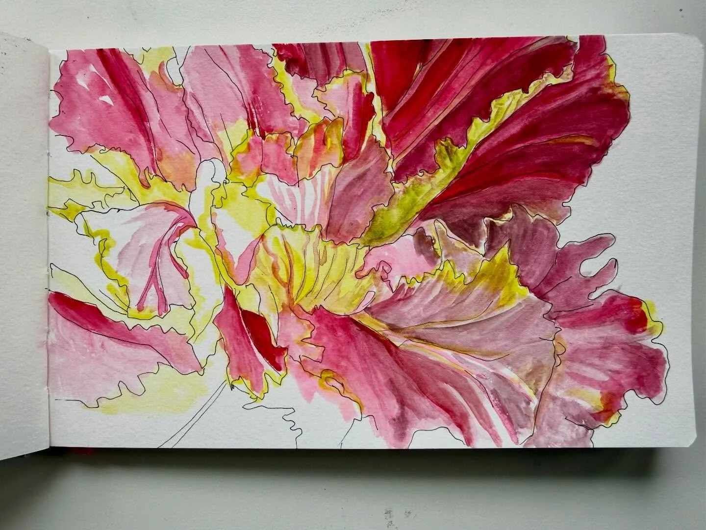 What a pleasure to spend time with this lovely radicchio at Tomgirl Farm! Knowing the owner&rsquo;s penchant for creating beauty everywhere she goes, I expected to see lovely things, but I was truly blown away at the quality of care around every corn