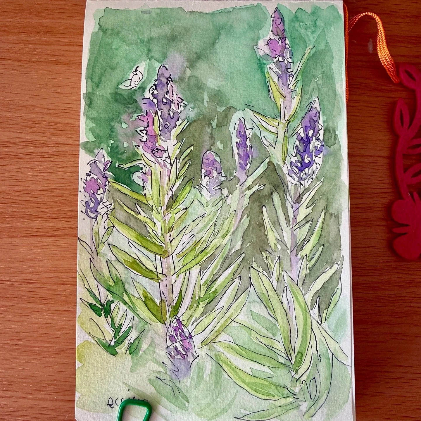 How lucky am I? Got to spend yesterday afternoon painting in the most outrageously good garden, which also happens to be the backyard of @monkeyflowergroup's Jaime Georgie and Ben King. Turns out I'm a little in love with Echium, the Pride of Madeira