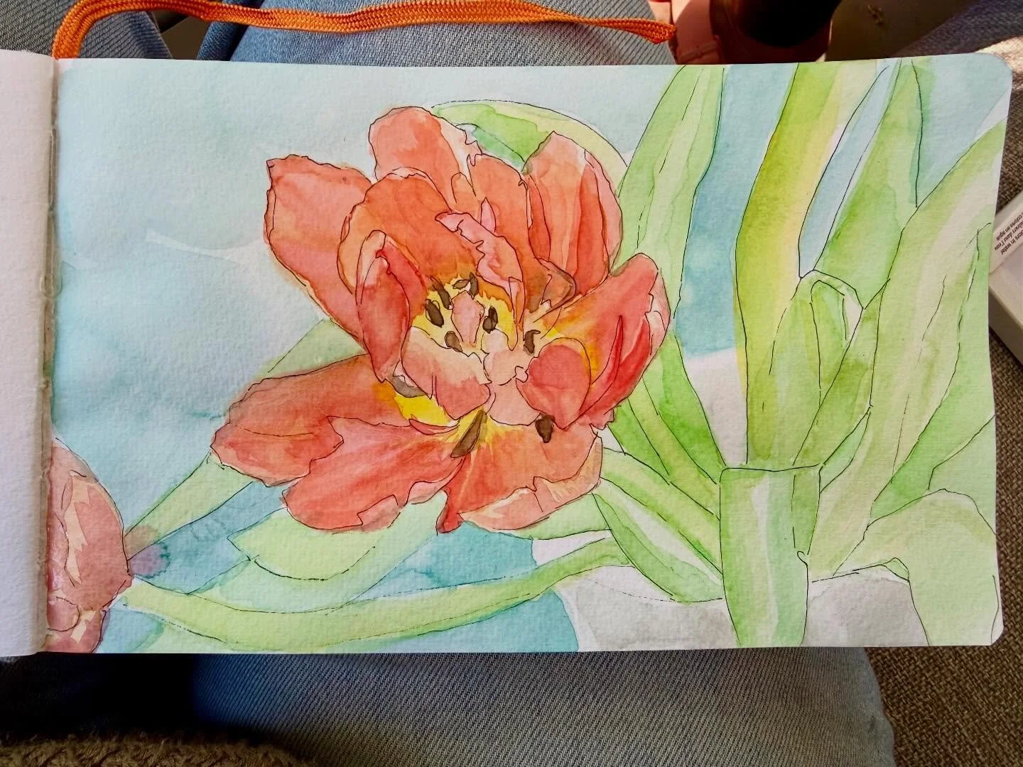 Spring! Yesterday @emmakcreative had me over. We walked around her lovely shady garden first, and she brought a vase of tulips to the table. She made asparagus frittata, fresh bread, and the most delicious lemon verbena tea from her garden served in 