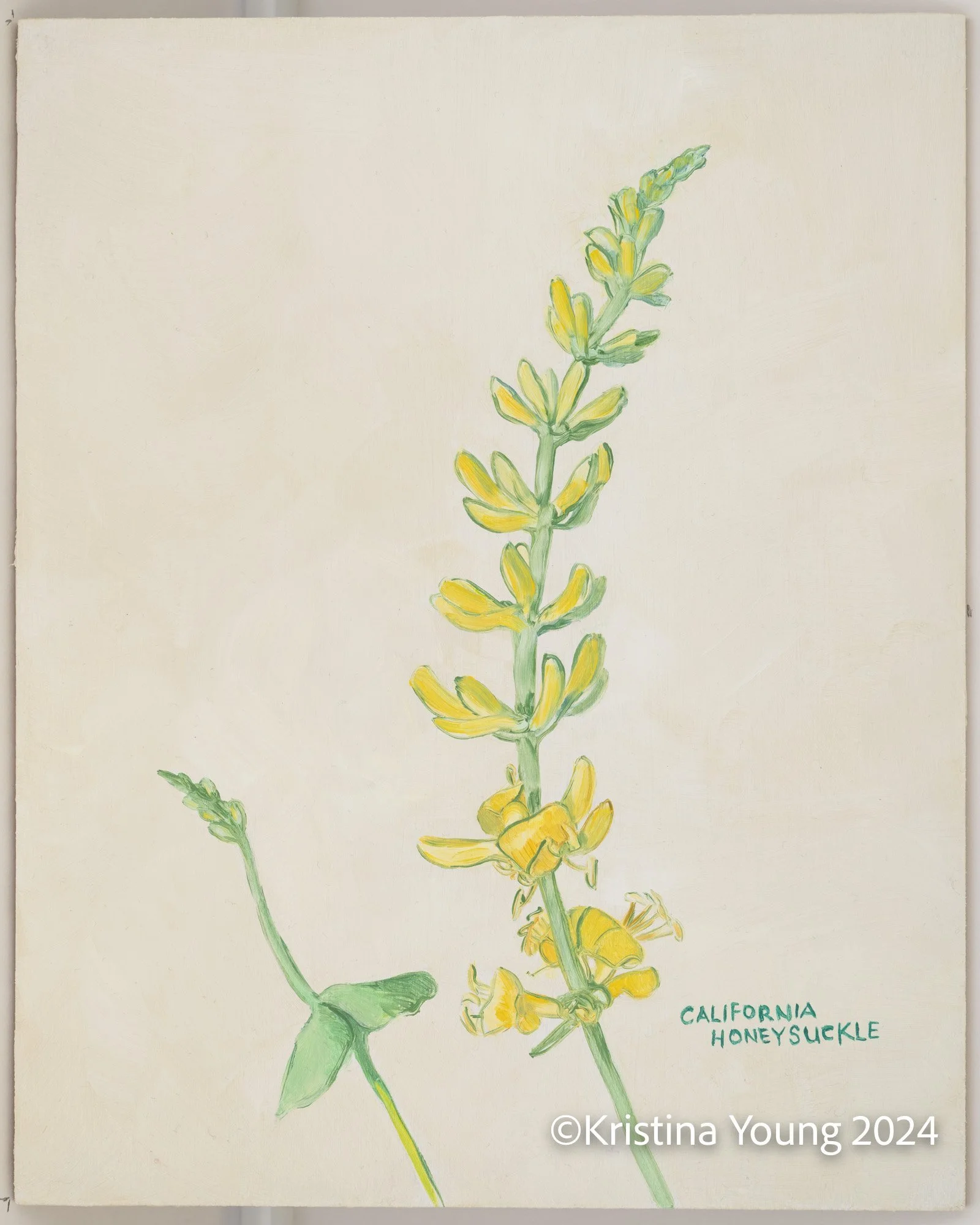 Heritage_House-Unit_IDs_010.jpg