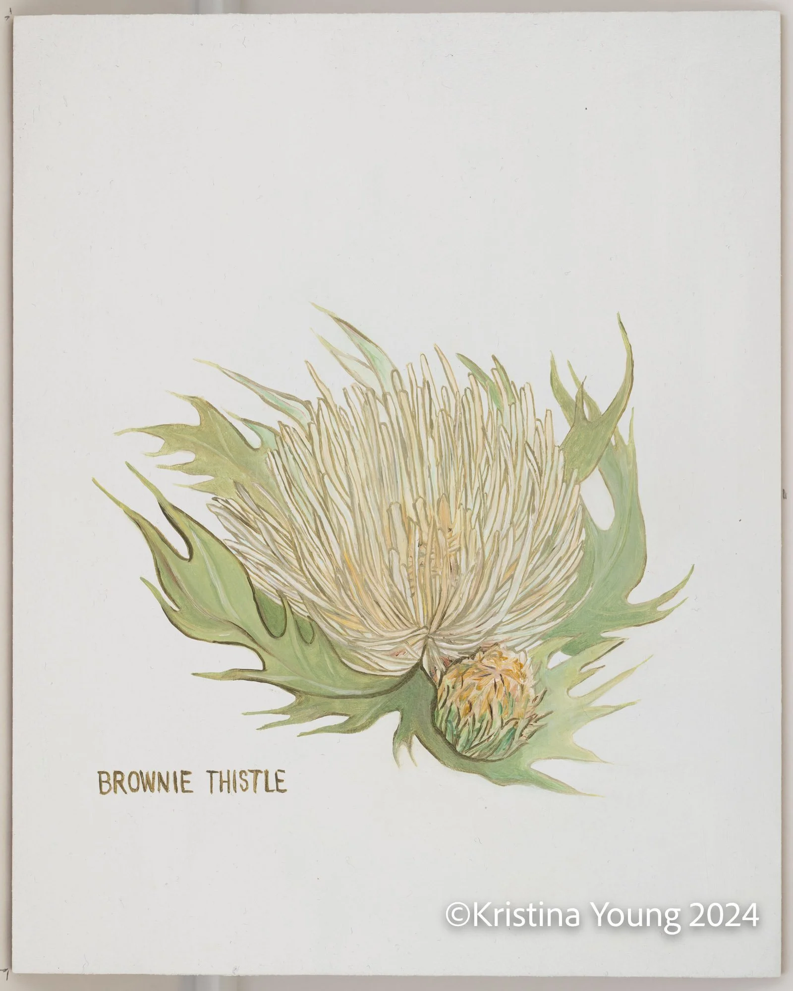 Heritage_House-Unit_IDs_012.jpg