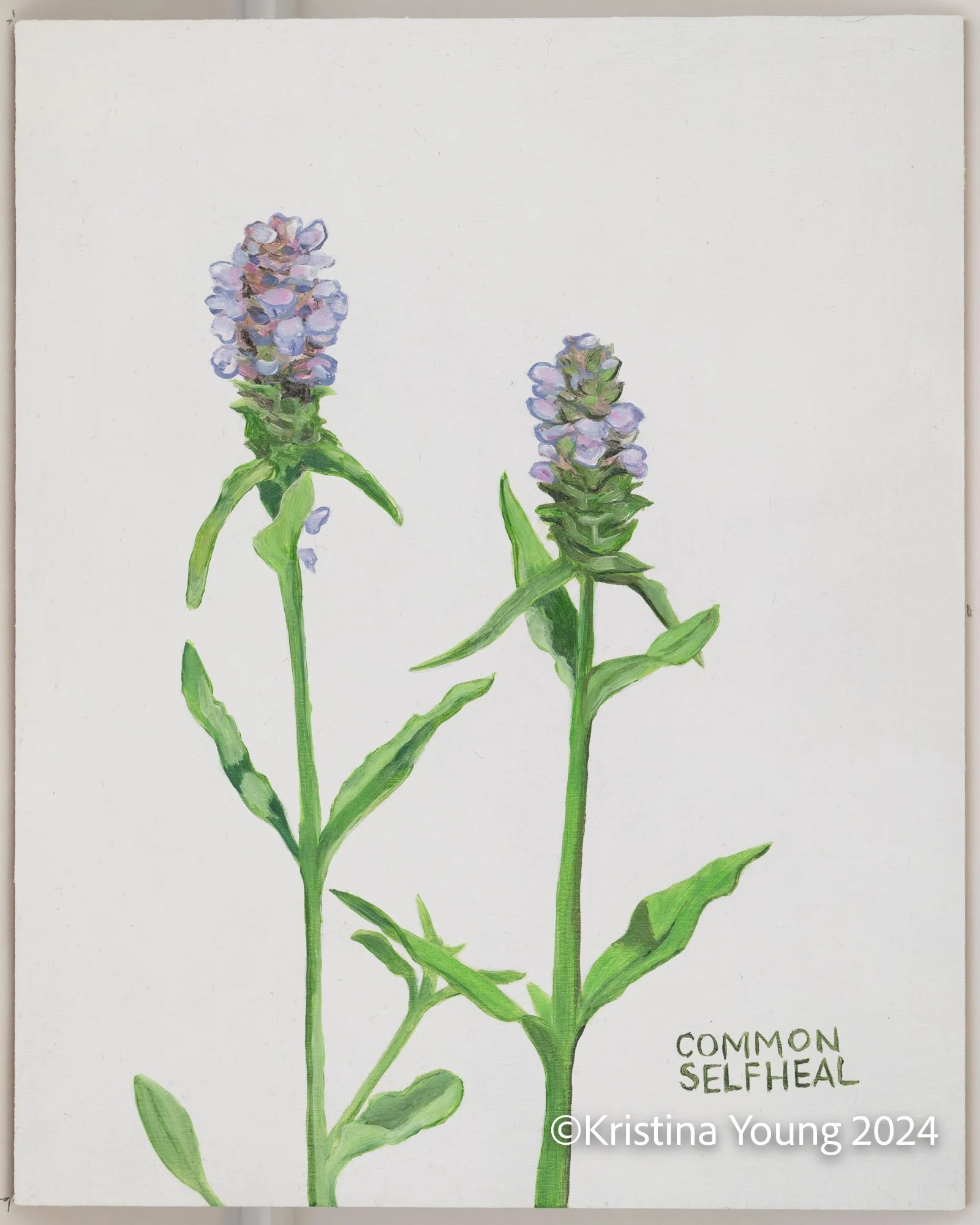 Heritage_House-Unit_IDs_015.jpg