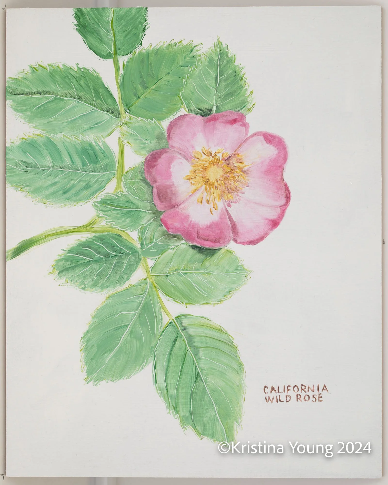 Heritage_House-Unit_IDs_016.jpg
