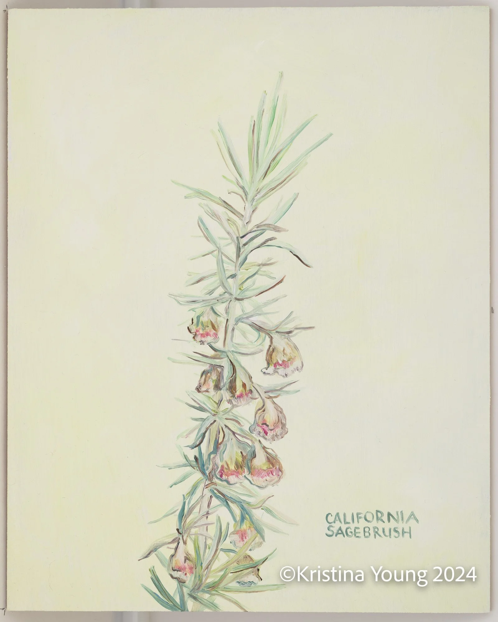 Heritage_House-Unit_IDs_017.jpg