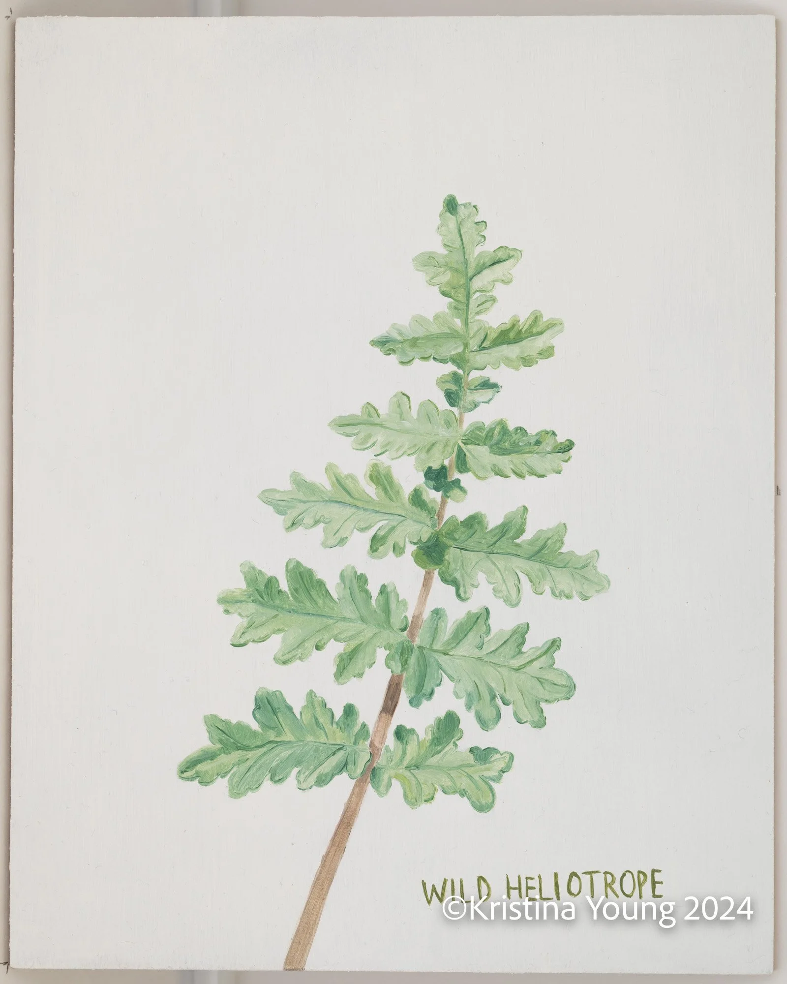 Heritage_House-Unit_IDs_022.jpg