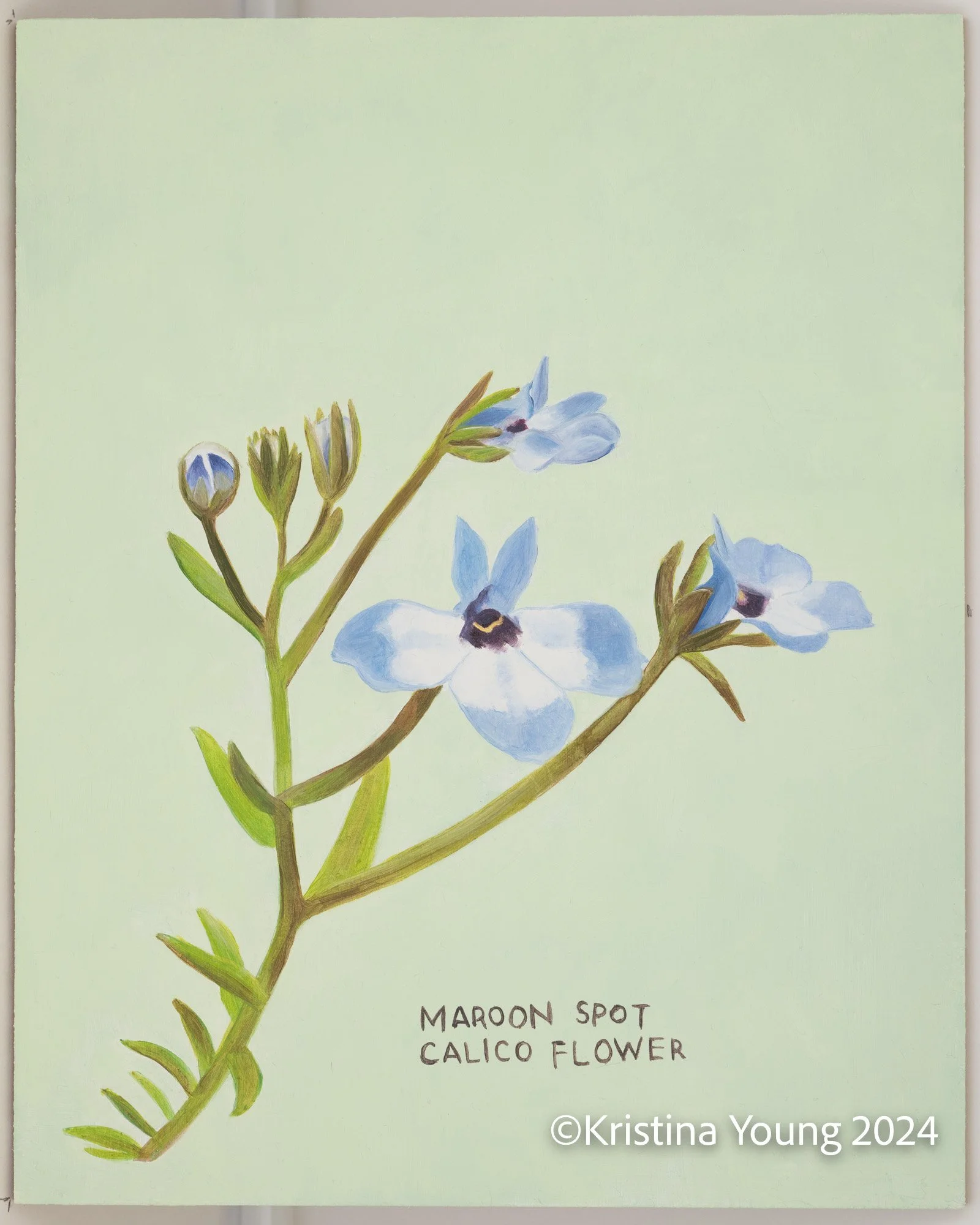 Heritage_House-Unit_IDs_025.jpg
