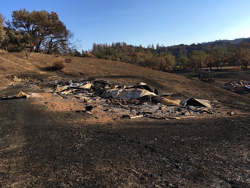 Northbay Wildfires: Natural Disaster + Community 