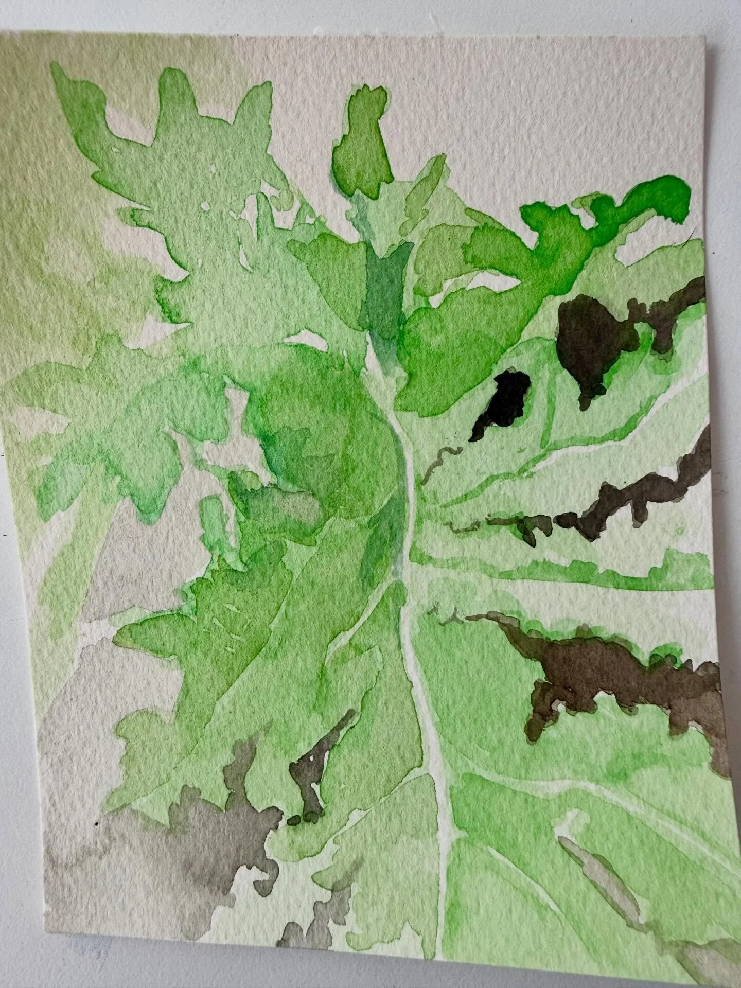Garden call to paint in the garden of the amazing @ben_king_studio and @themonkeyflowergroup! I spied this beautiful kale they were growing - which they called &lsquo;a major food group&rsquo; 🤣 Thank you for having me, next time at our place!