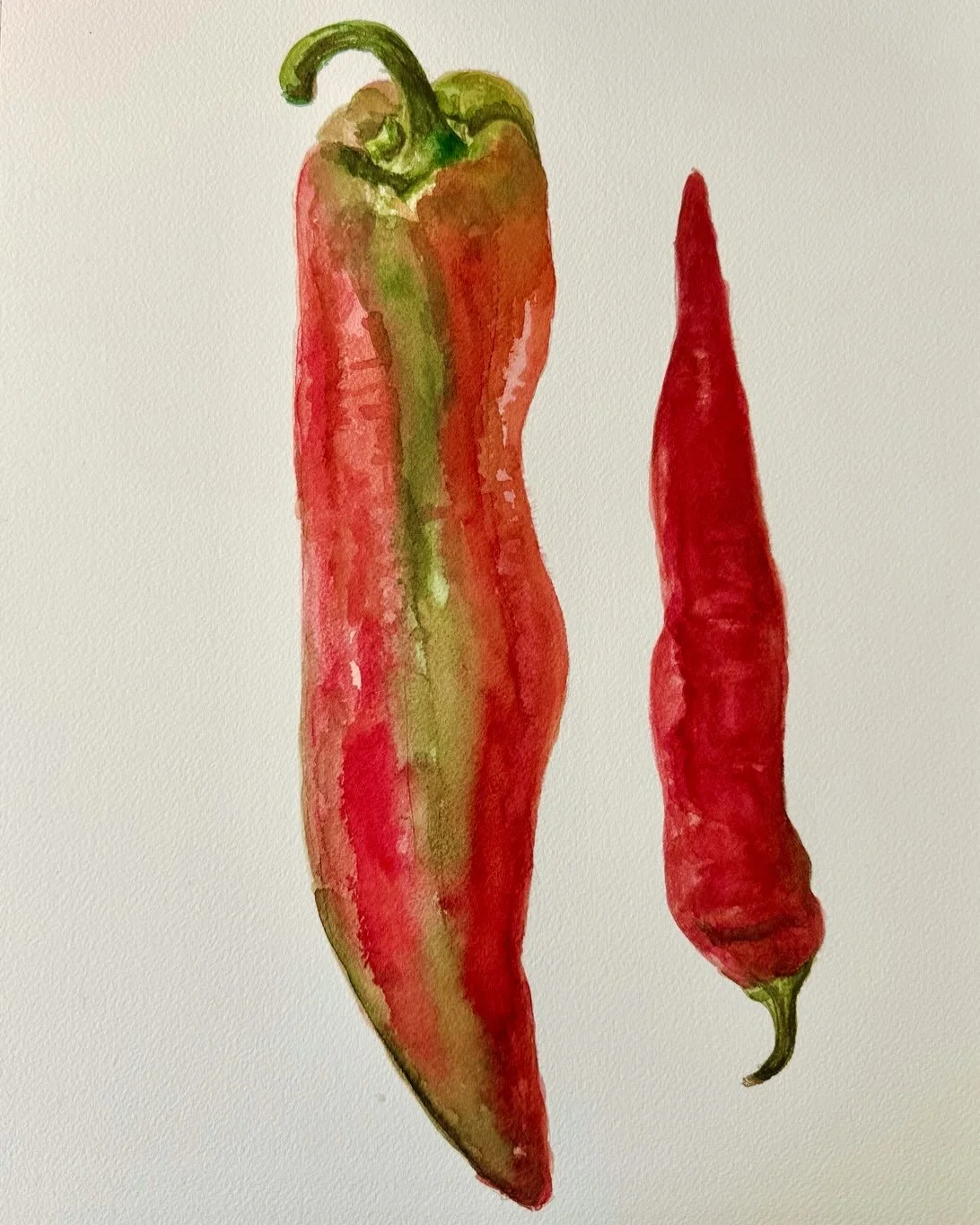 T gave me this pepper on the left when I told her I wanted to paint it. &ldquo;Yes, look at it, it&rsquo;s already a painting!&rdquo; she said. 

The smaller Jimmy Nardello is from another friend&rsquo;s garden, equally gorgeous. Look at that color! 
