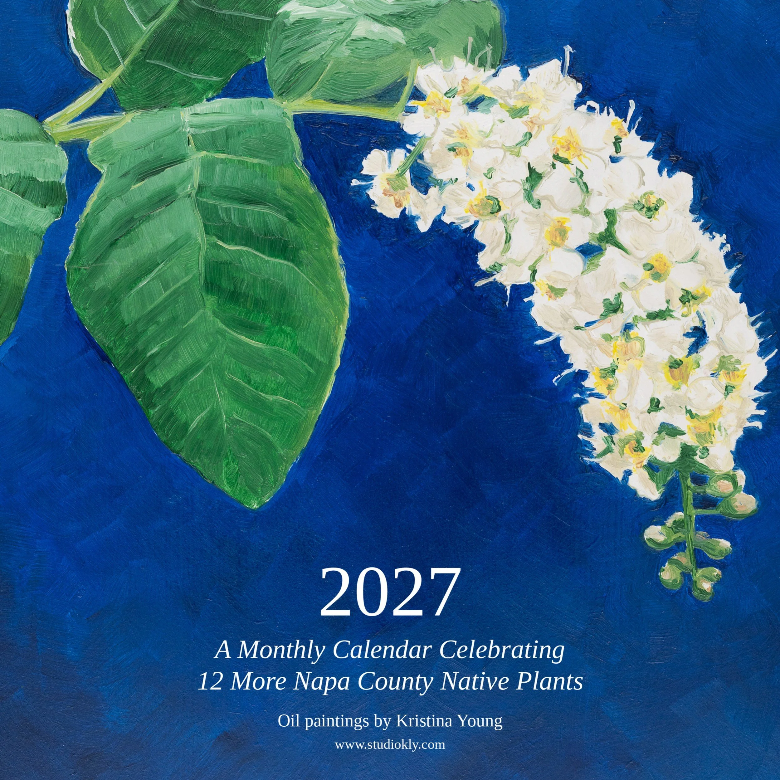 After the 2025 calendar went out, a few of you called asking when the next one was coming. It&rsquo;s coming!

The 2027 calendar is twelve of my California native plant paintings, from Sword Fern in January to Toyon in December, all from the Coming H