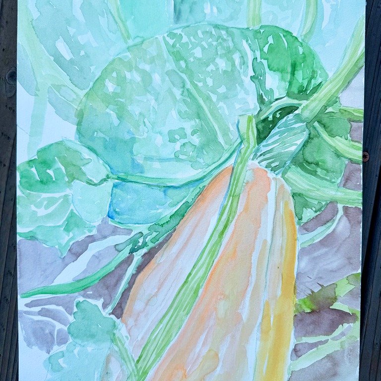 Last week I crouched in the pumpkin patch at @tomgirlfarms to paint, tucked in among the vines so I wouldn&rsquo;t disturb anything. Hard on the knees, but I loved every minute of it, dwarfed by those giant leaves. I just channeled the Great Pumpkin 