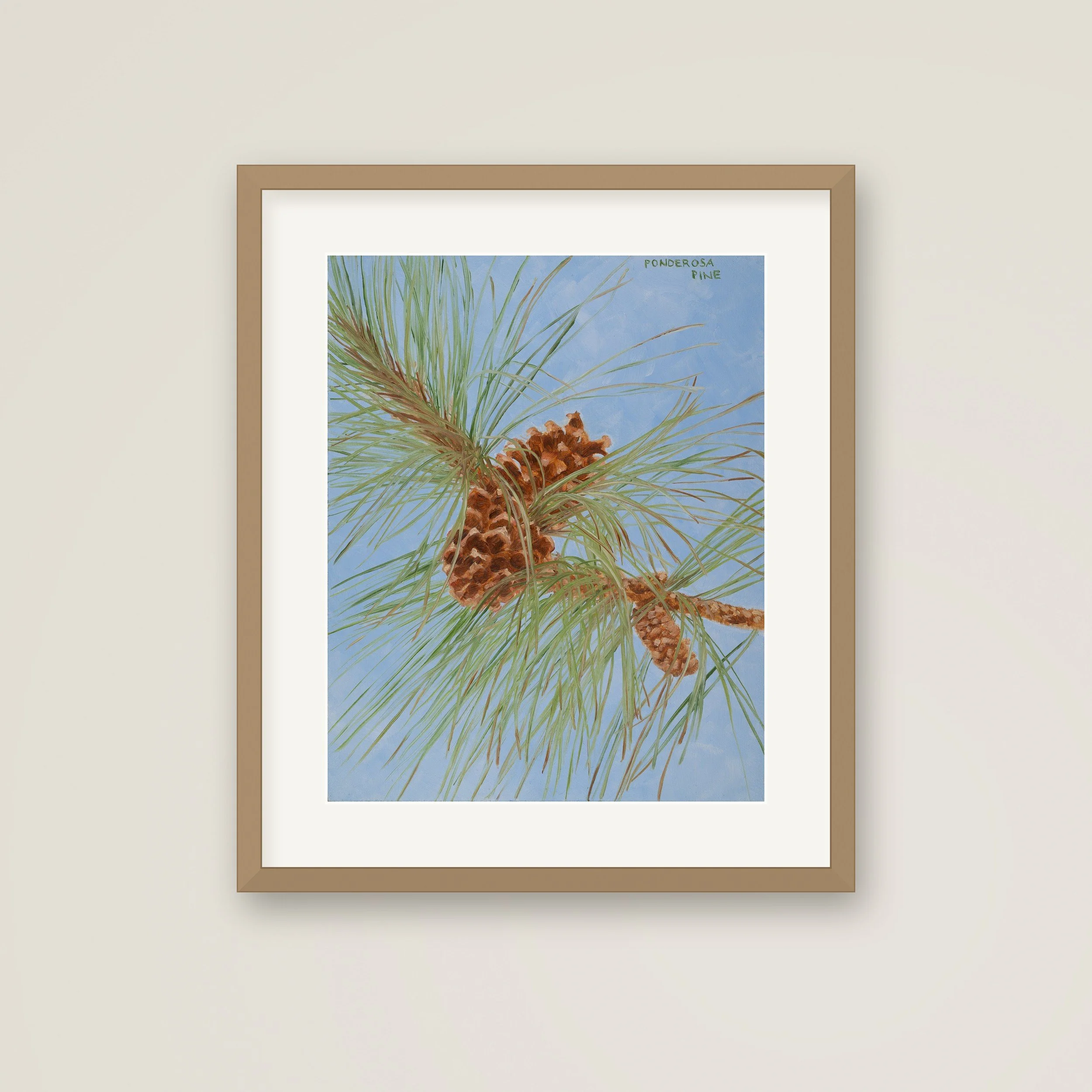 Framed-Ponderosa-Pine.jpg