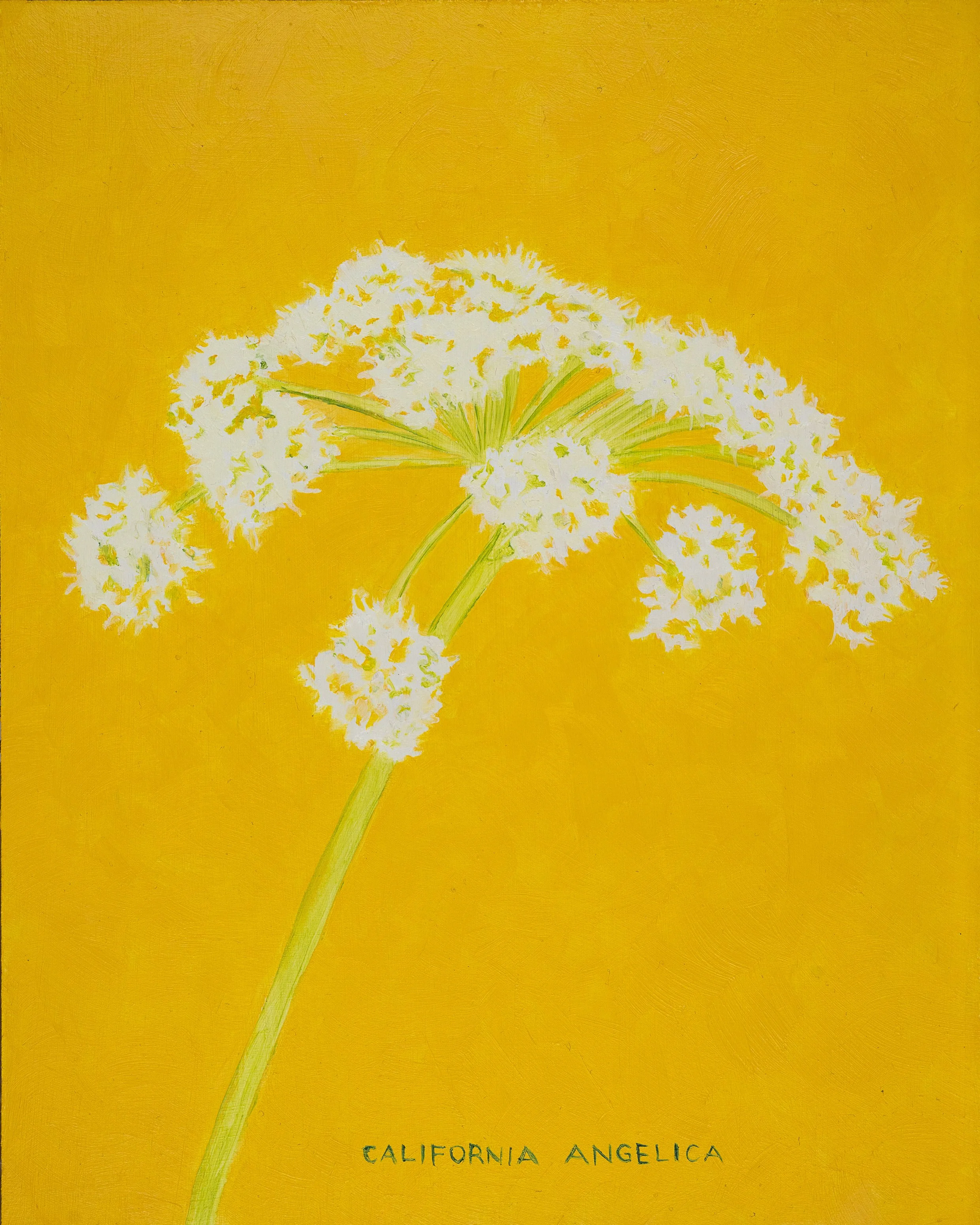 California Angelica Print