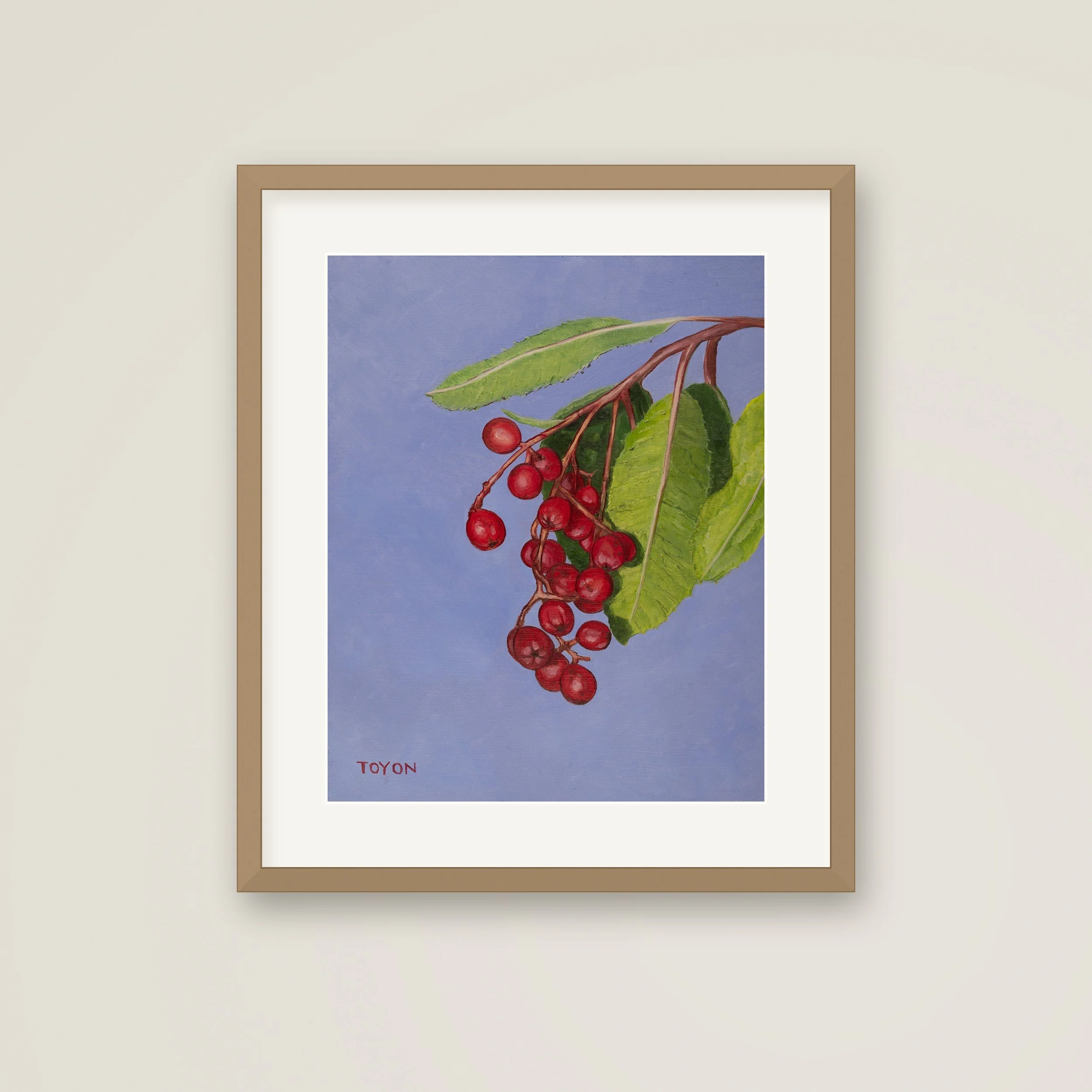 Framed-Toyon.jpg
