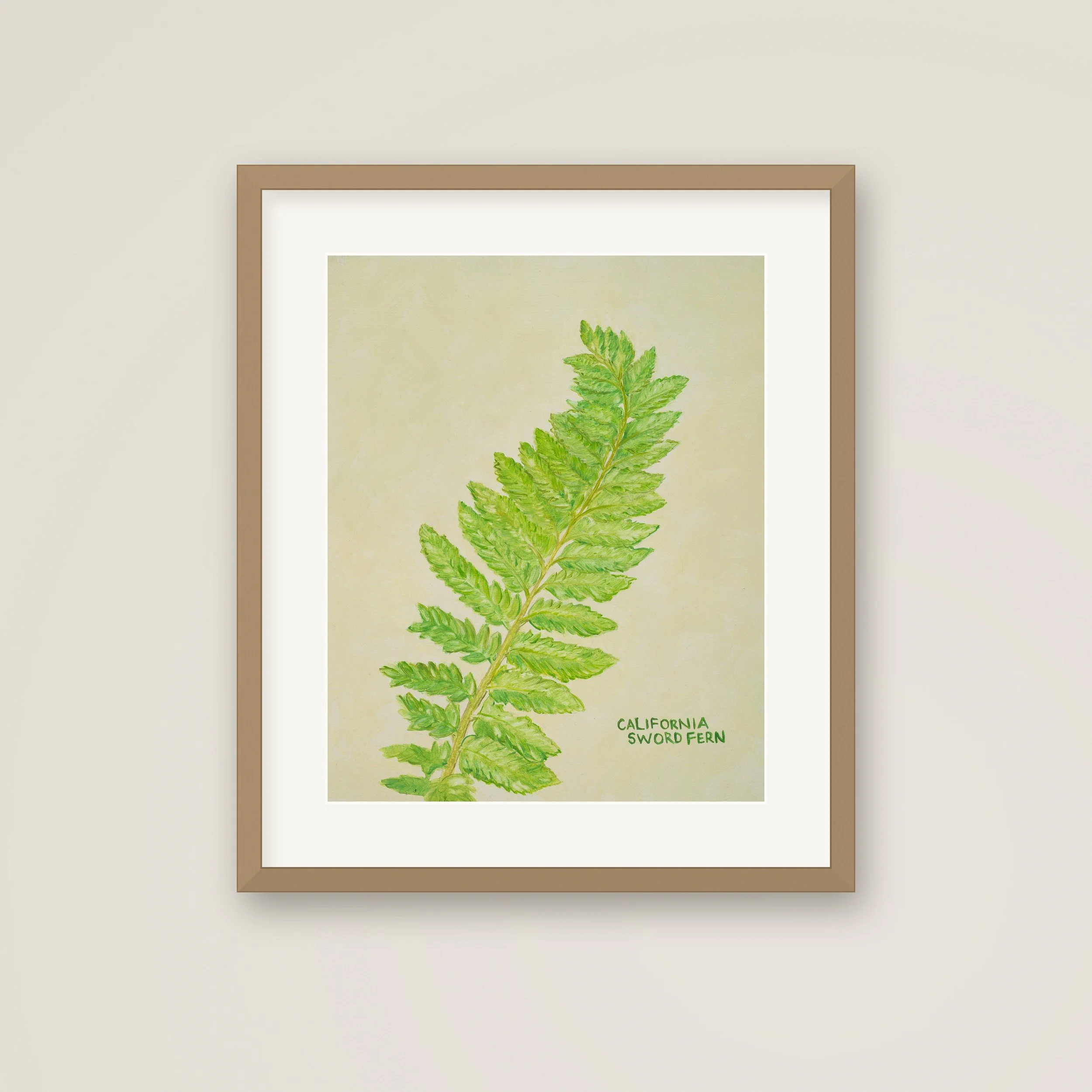 Framed-California-Sword-Fern.jpg