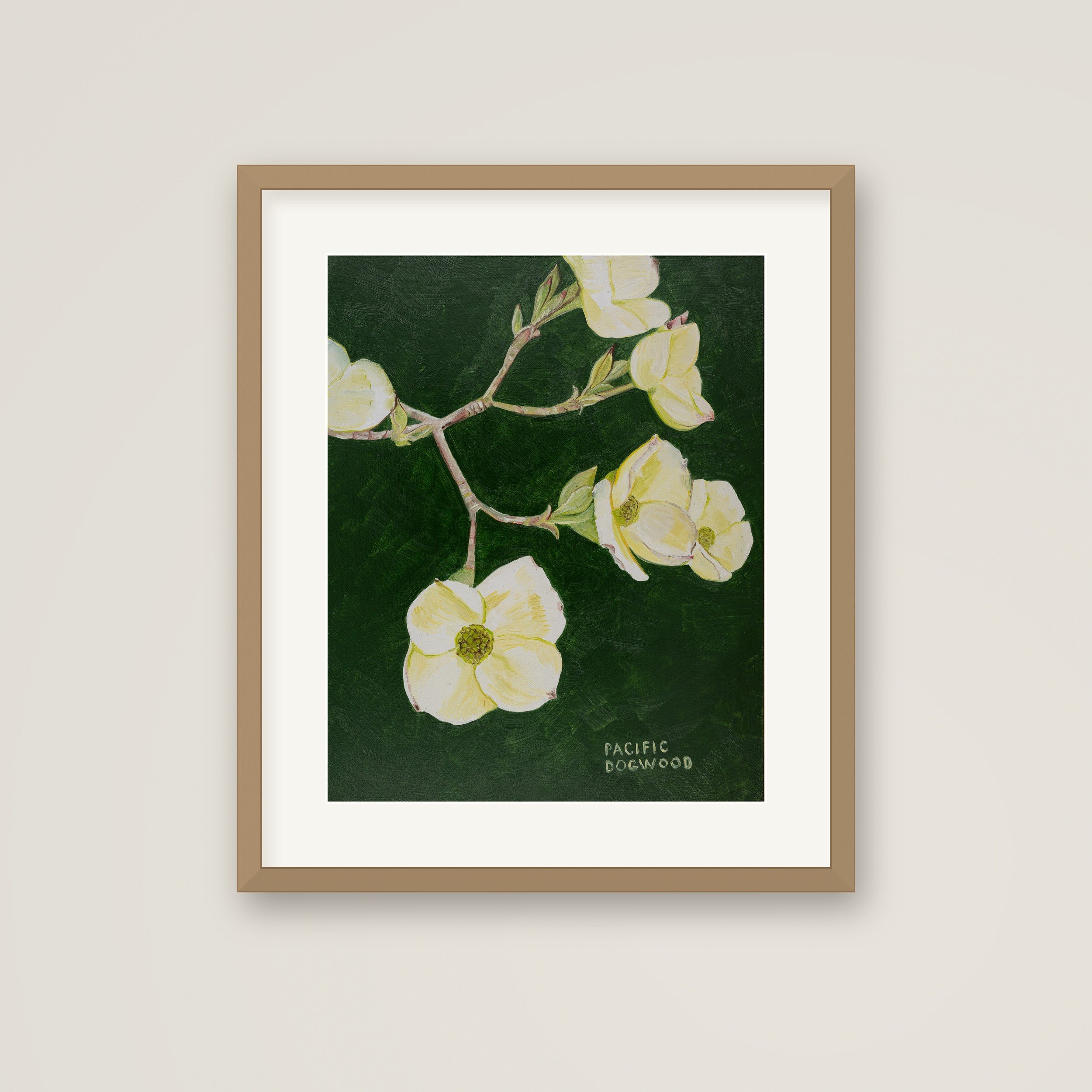 Framed-Pacific-Dogwood.jpg