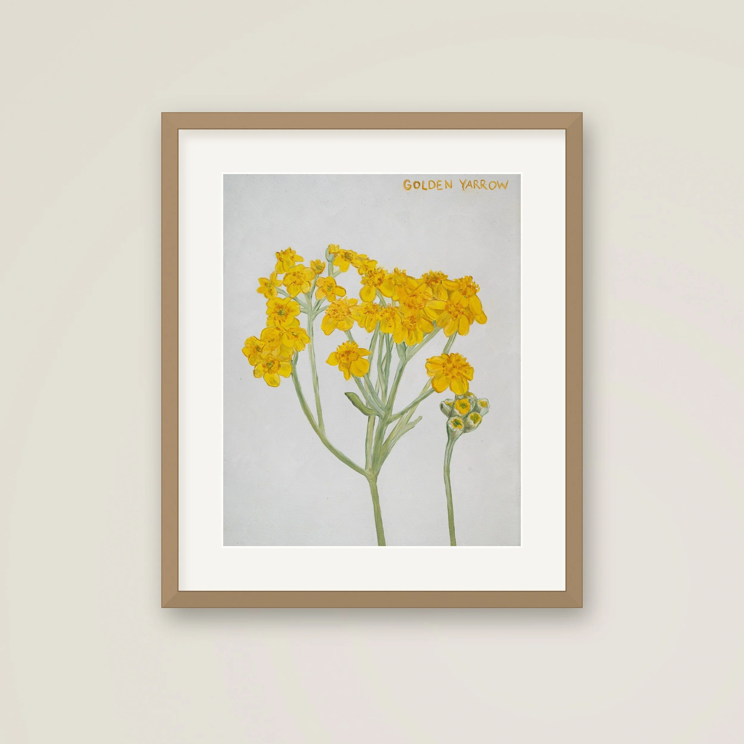 Framed-Golden-Yarrow.jpg