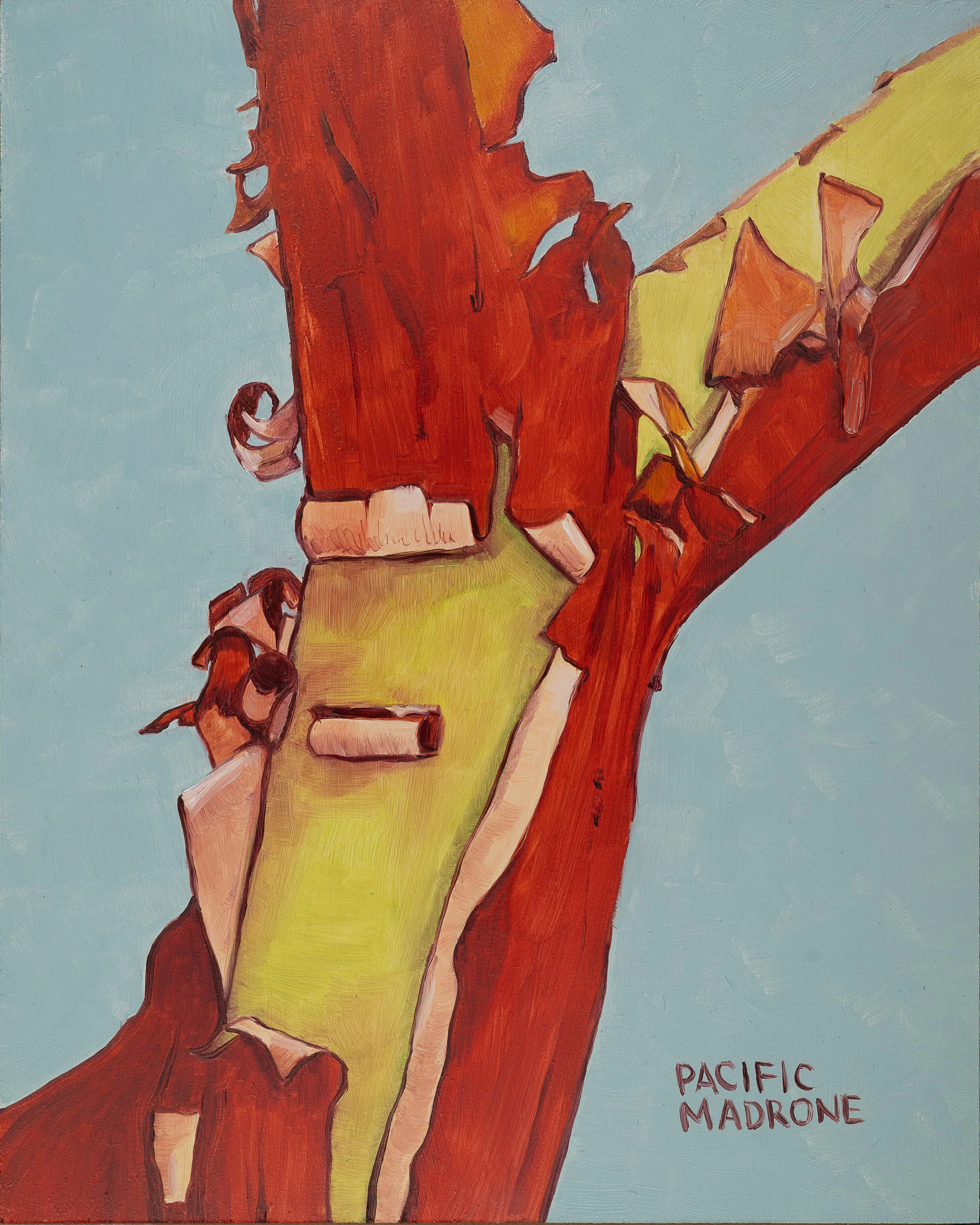 Pacific Madrone Print