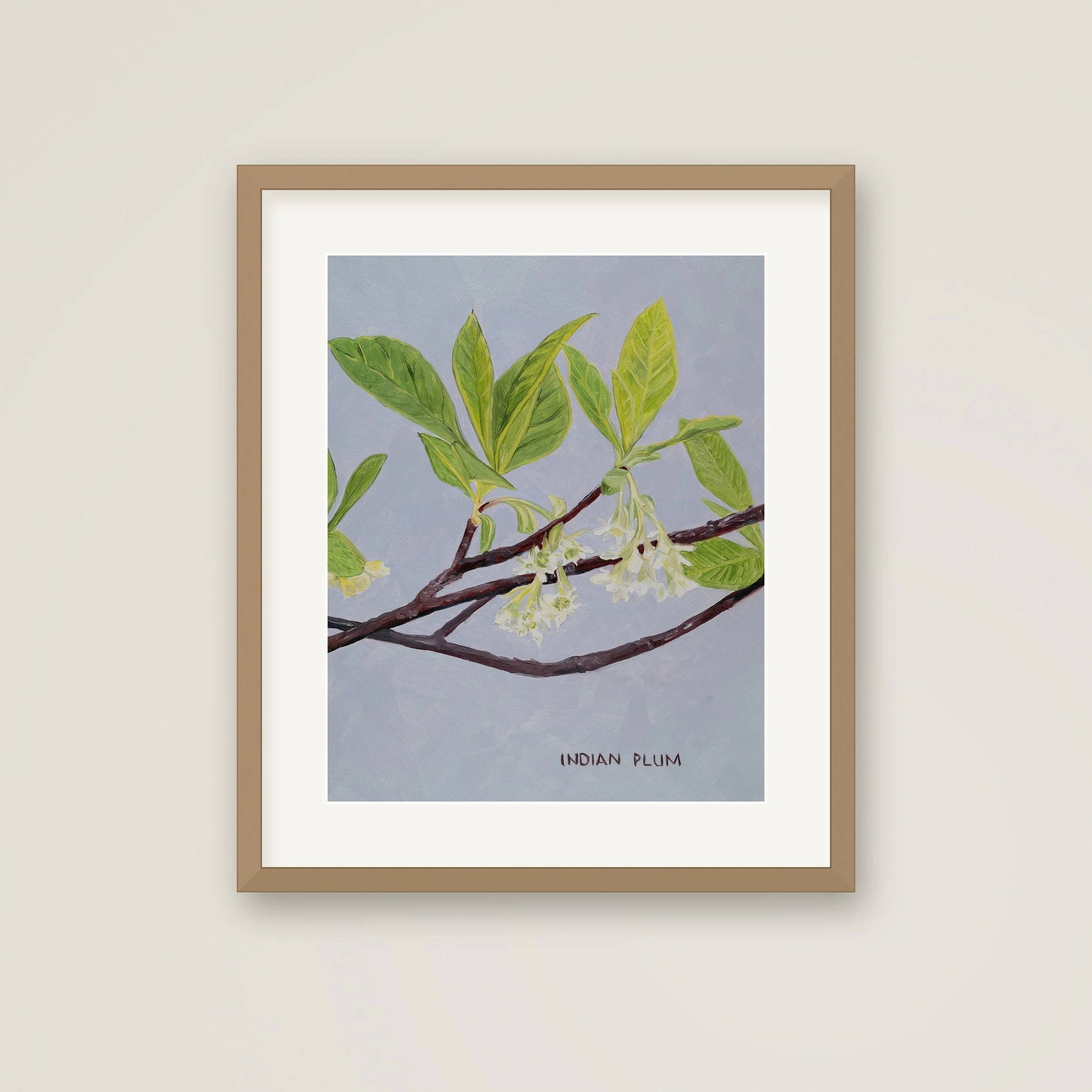 Framed-Indian-Plum.jpg