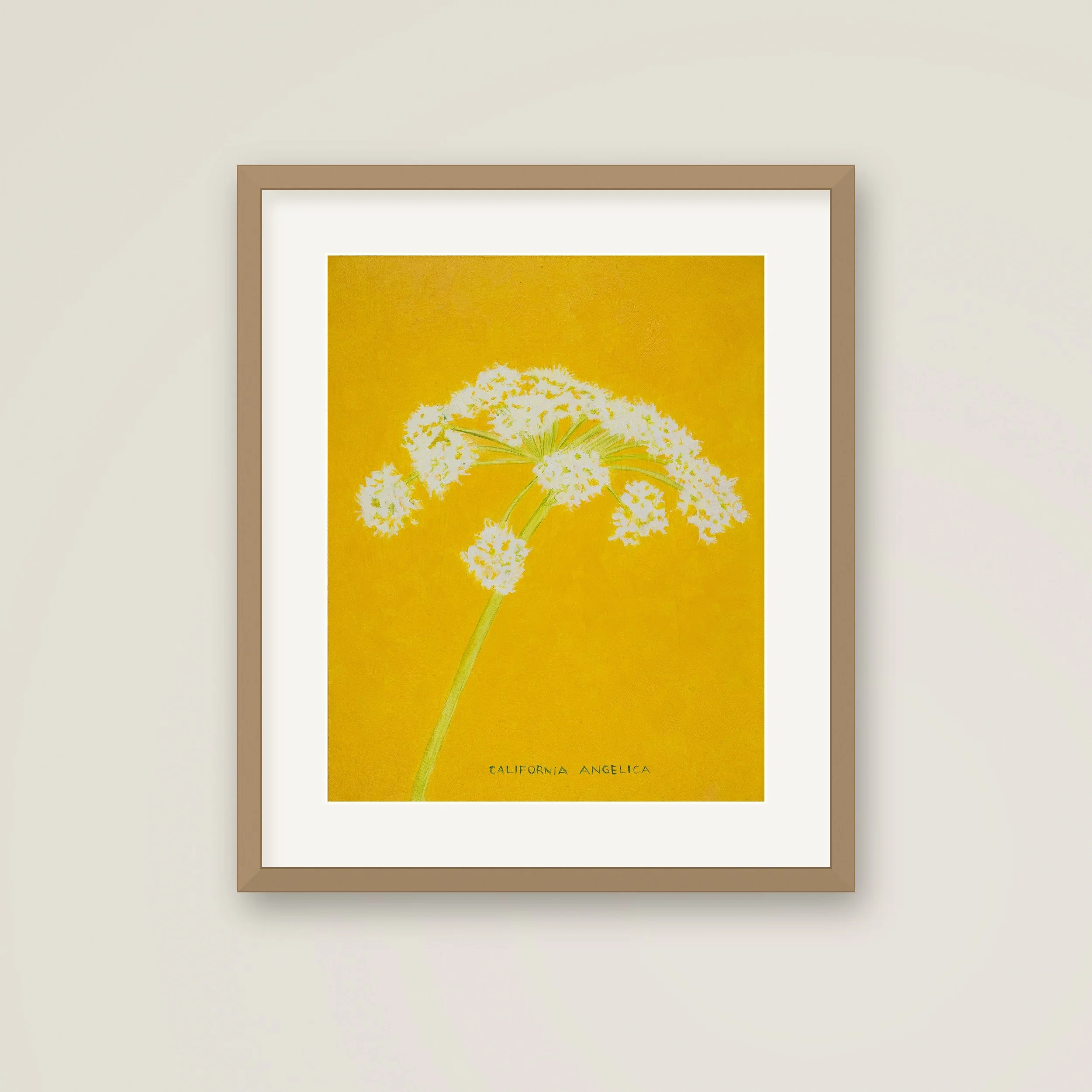 Framed-California-Angelica.jpg