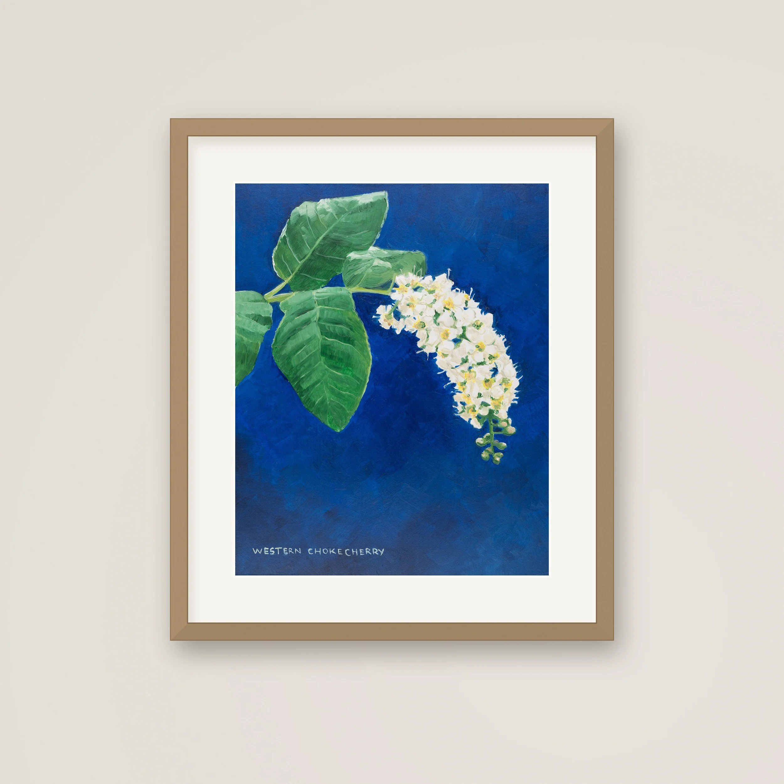 Framed-Western-Chokecherry.jpg