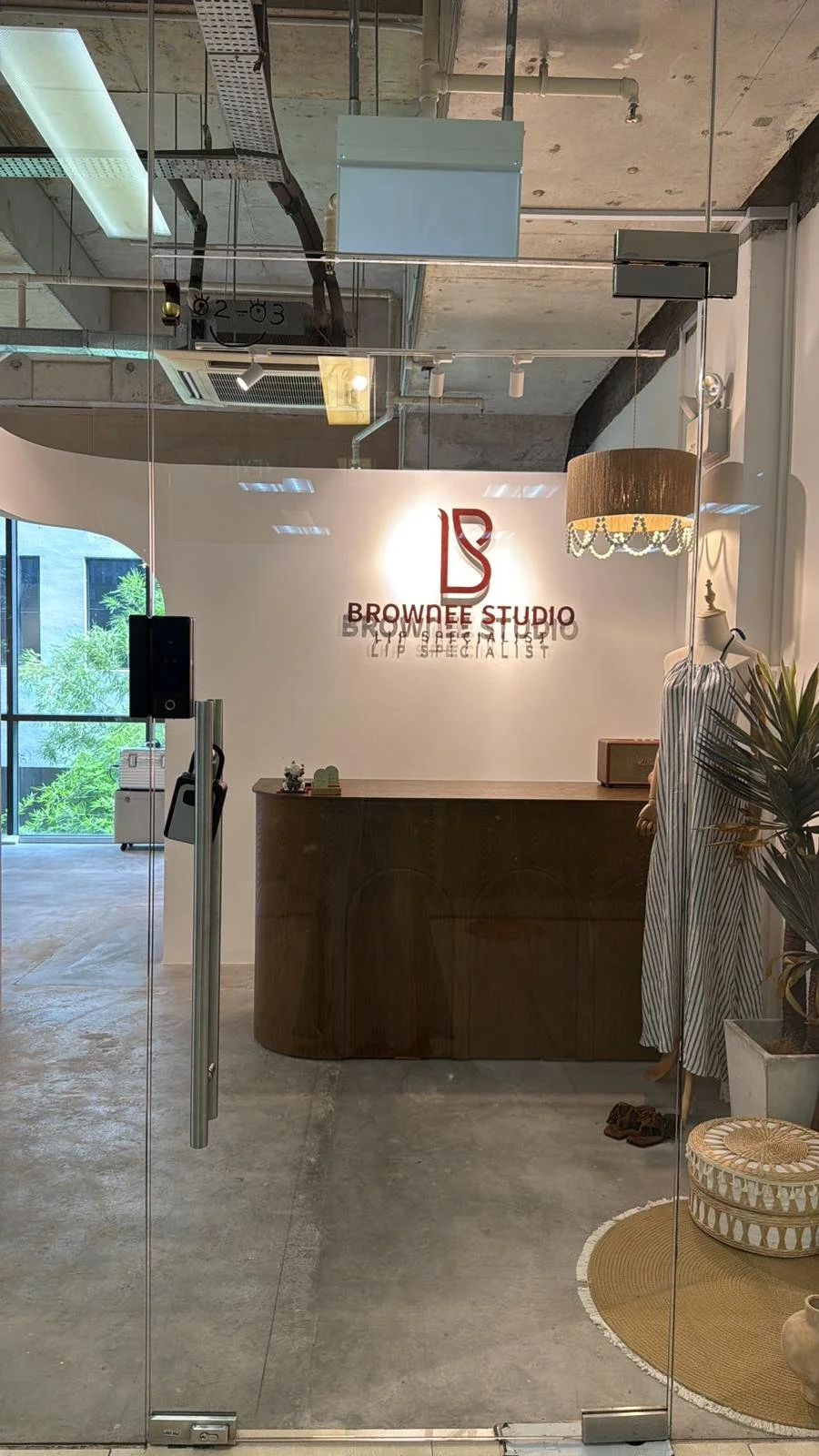 Interior of Brownee Studio, a lip specialist salon, with a reception desk, mannequin with striped dress, potted plant, and decorative lampshade, viewed through glass doors.