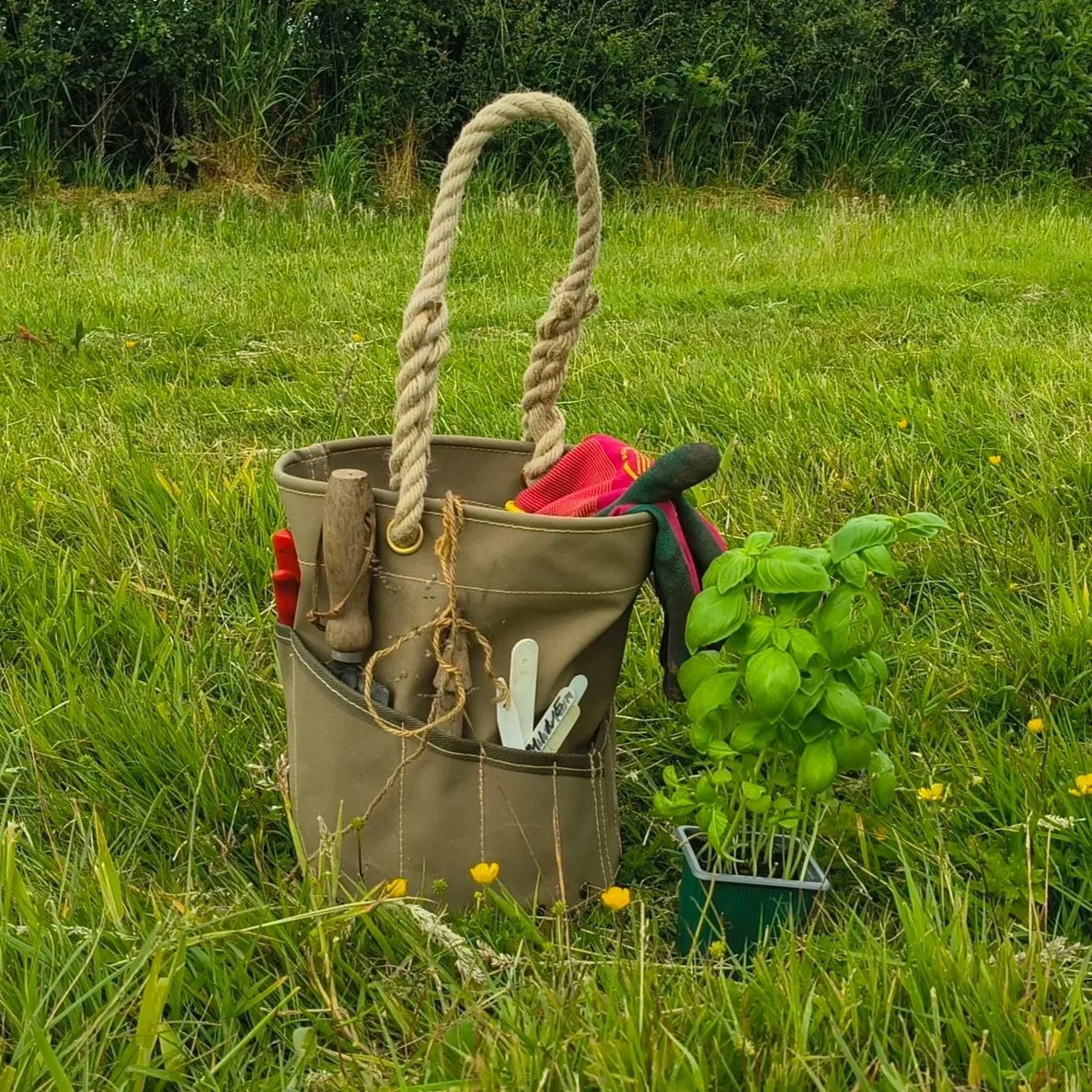 Sand+Tool+Bucket+garden+2.jpg