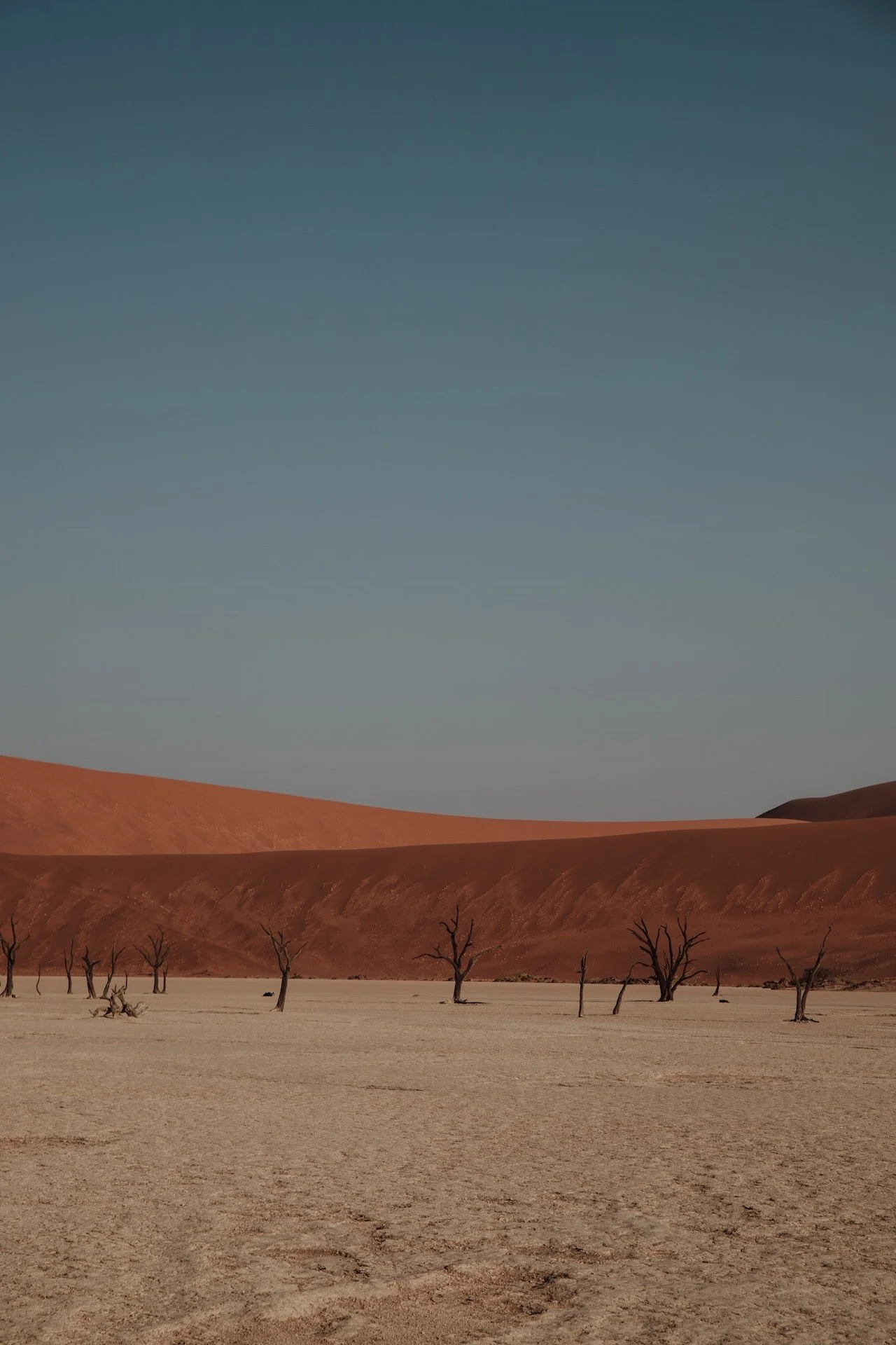Deadvlei Namibia - Bianca Asher Photography-49.jpg