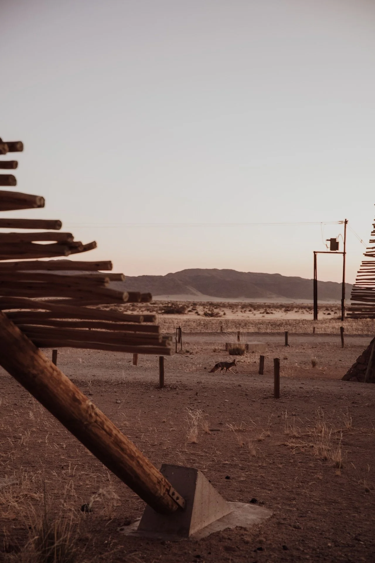 Namibia Content - Bianca Asher Photography-52.jpg