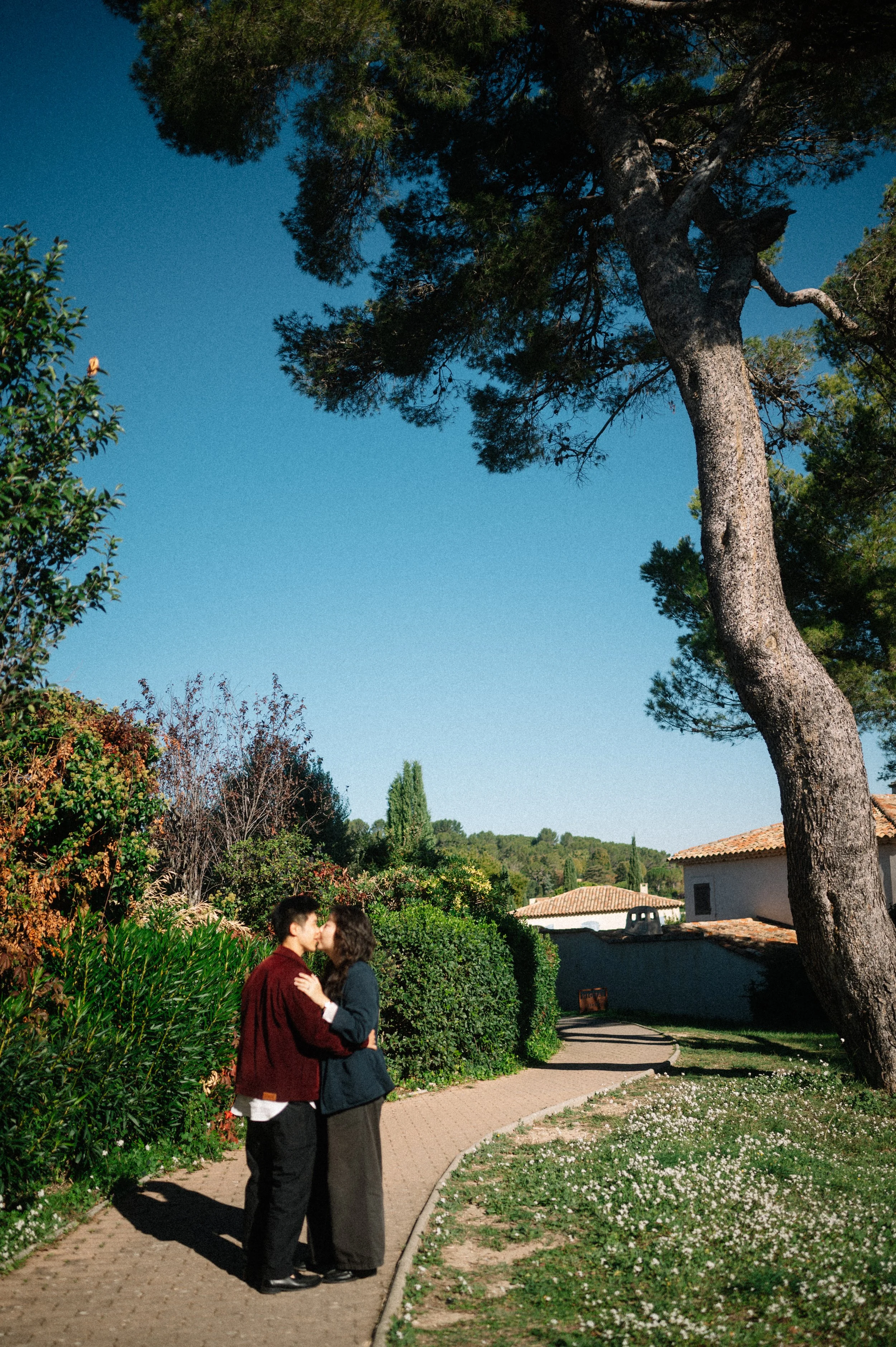 A young couple stands on a paved path in a lush, green park, sharing a kiss under a large, leaning tree on a sunny day with clear blue sky.