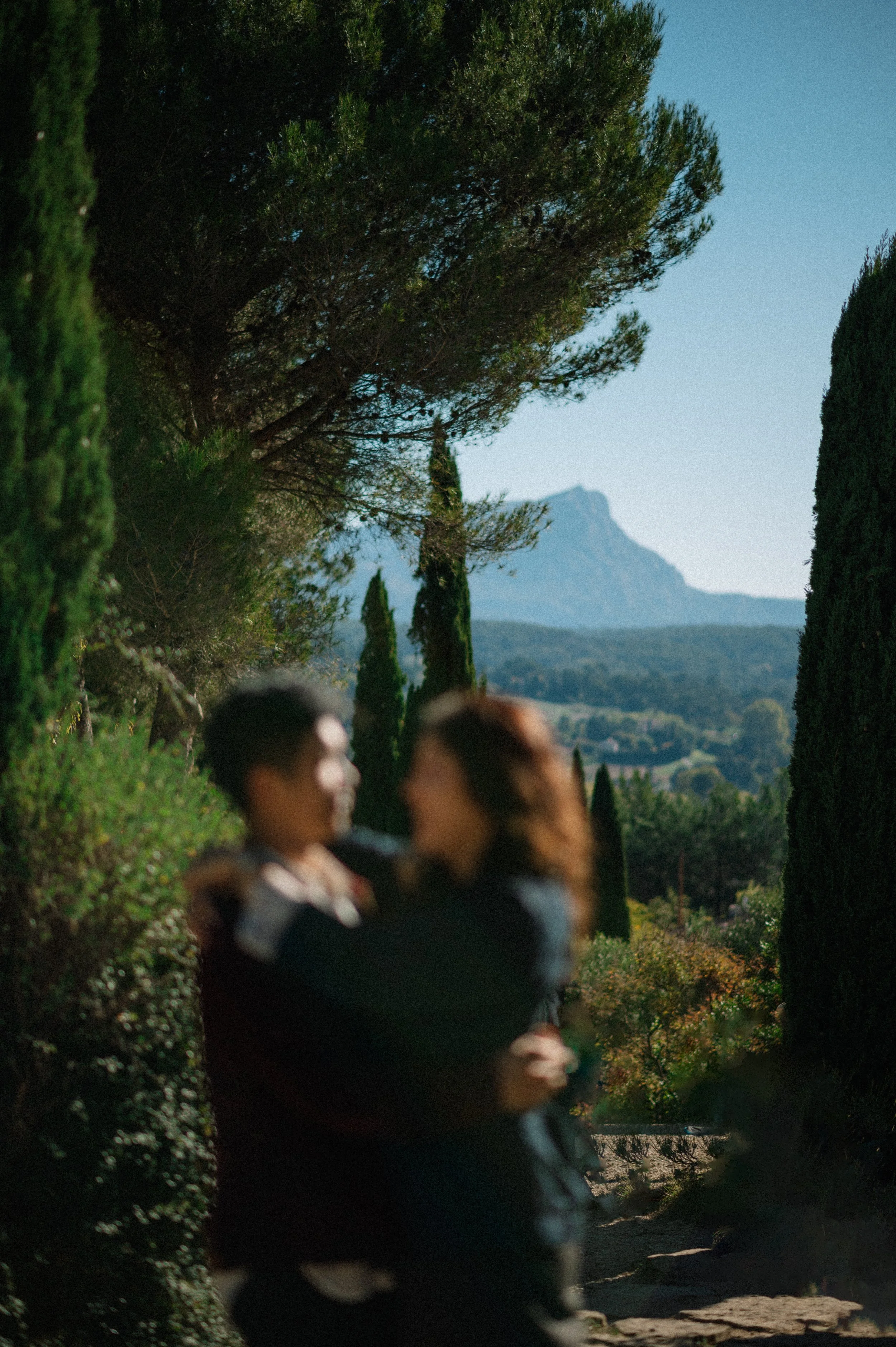 A blurry couple embracing outdoors among tall trees and lush greenery, with a mountain in the distance under a clear blue sky.