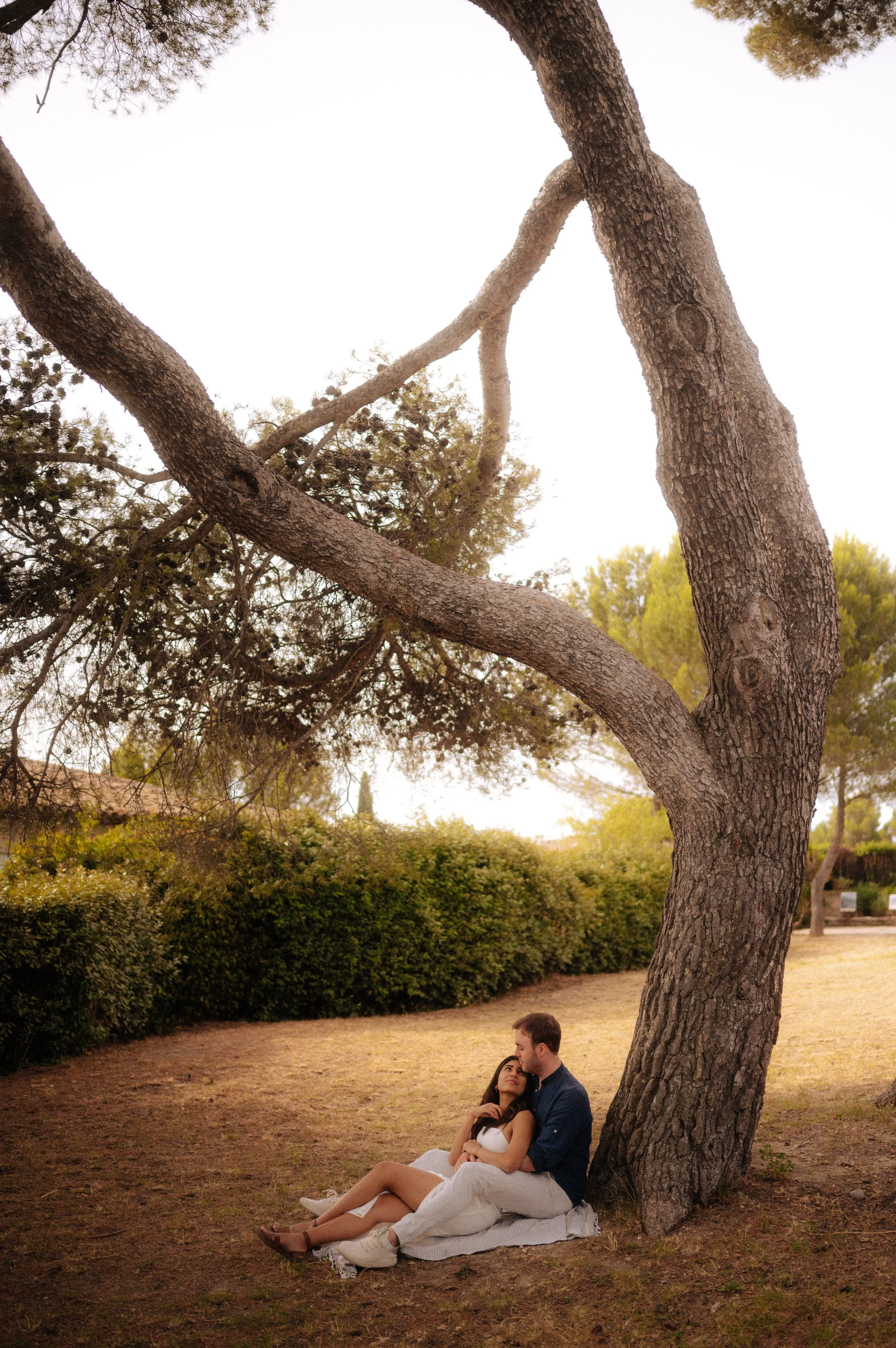 A couple sitting on a blanket under a large tree in a park during sunset, embracing each other.