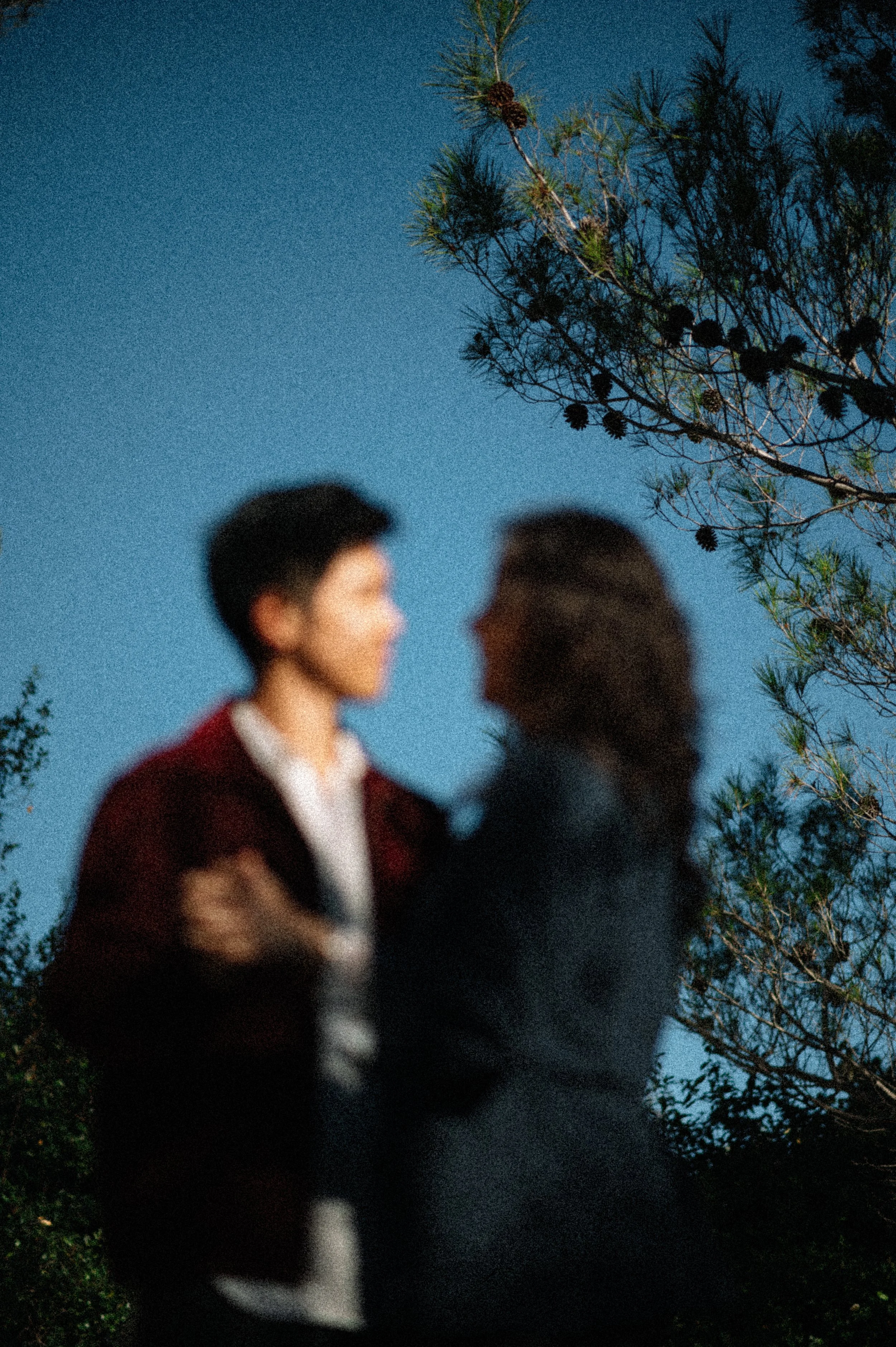 Blurred image of two women facing each other, surrounded by trees and a blue sky.