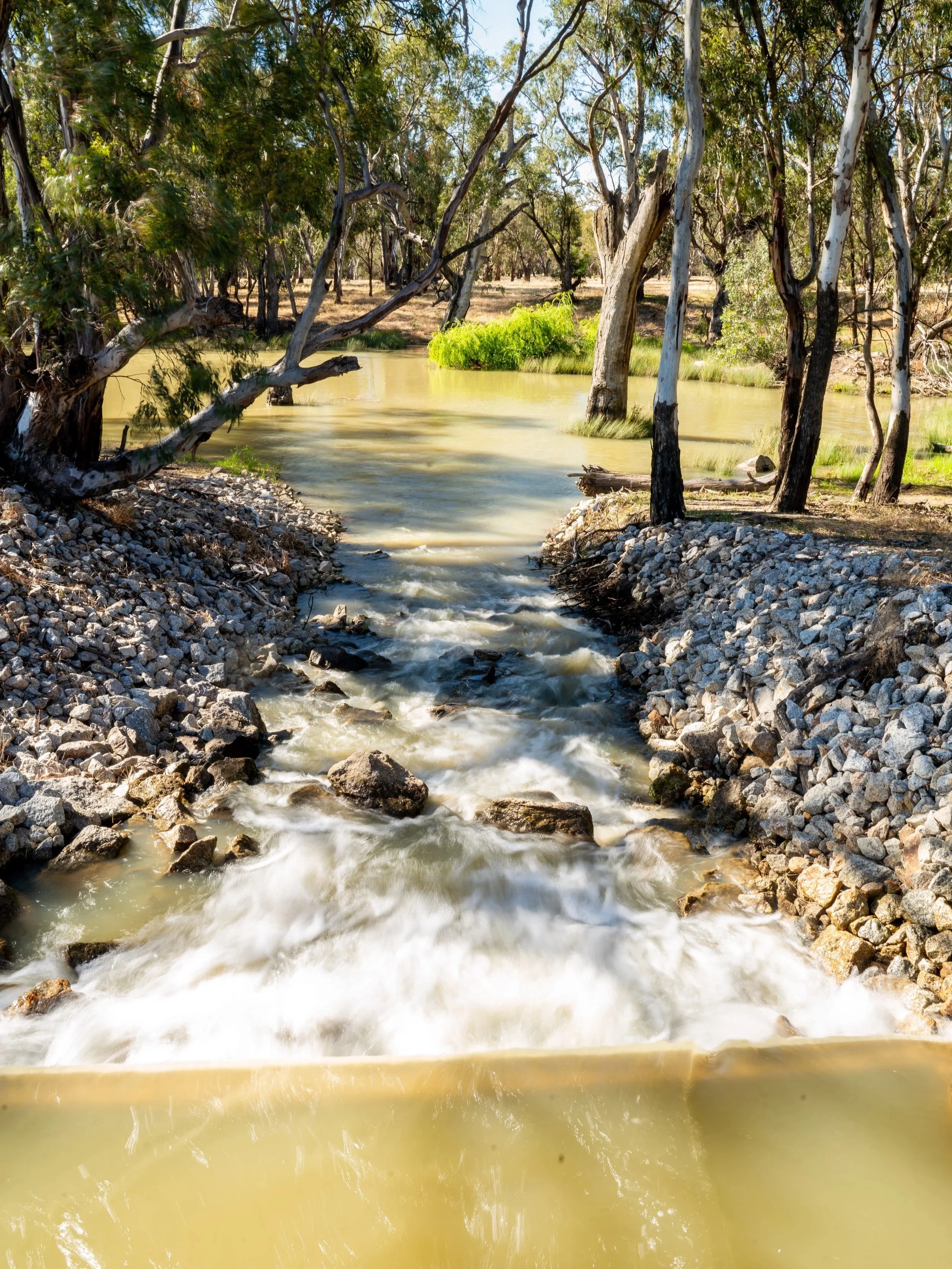 Murray Darling Basin, Restoring Murray Waterways