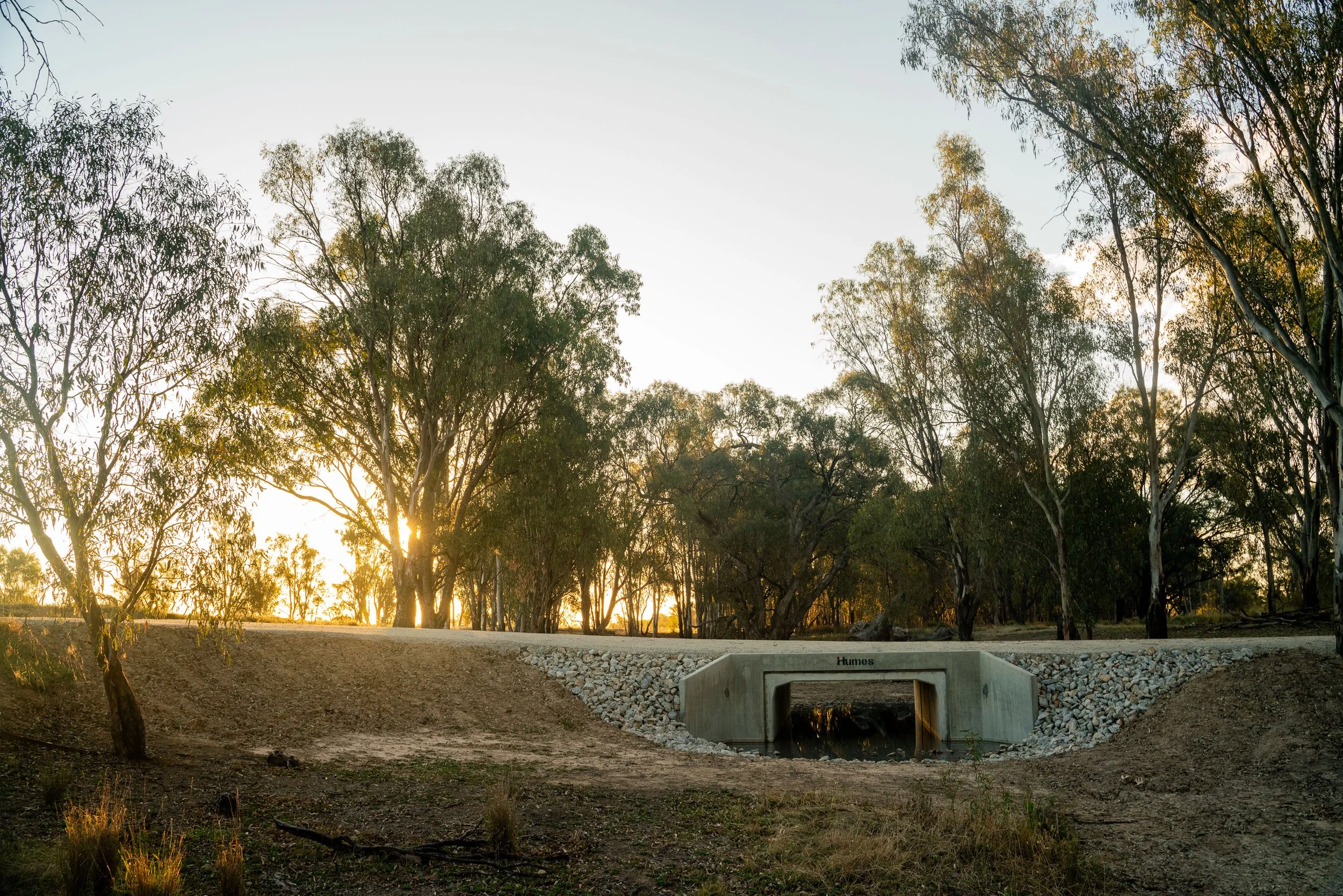 Water policy, Murray darling basin, water strategy, water management
