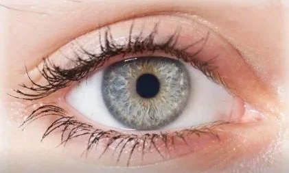 Iridology Analysis - 1 Hour