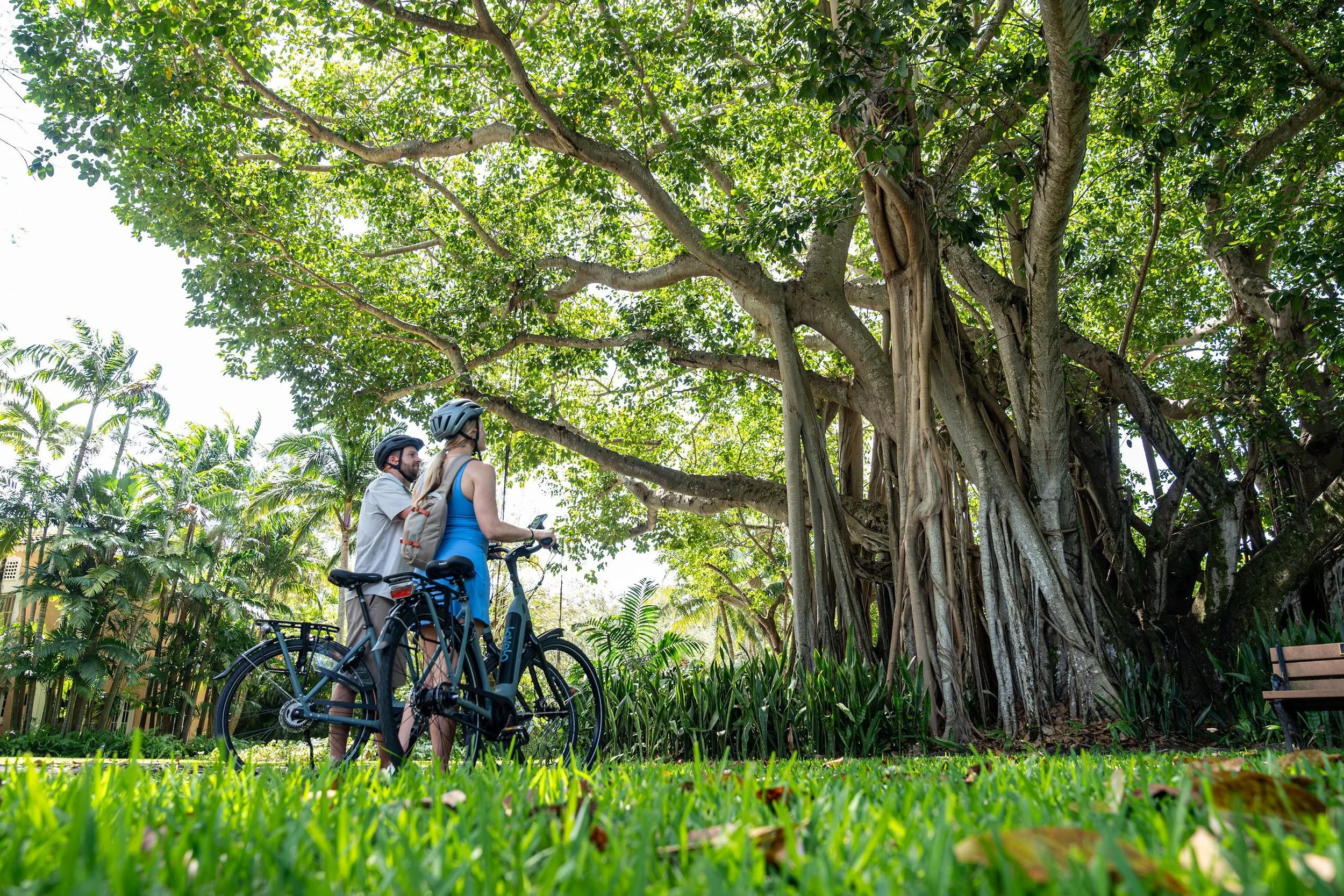 Coral Gables-canopytour