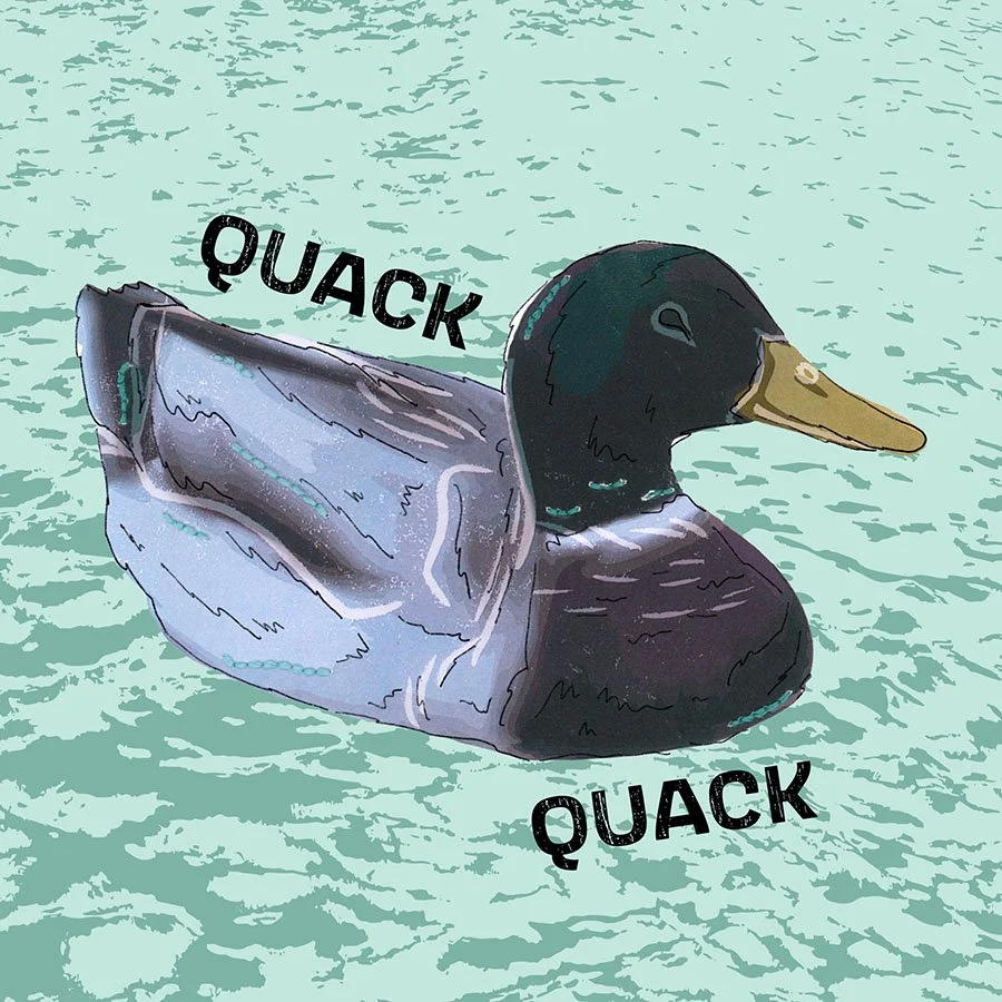  Lily Pod Cushion.jpg