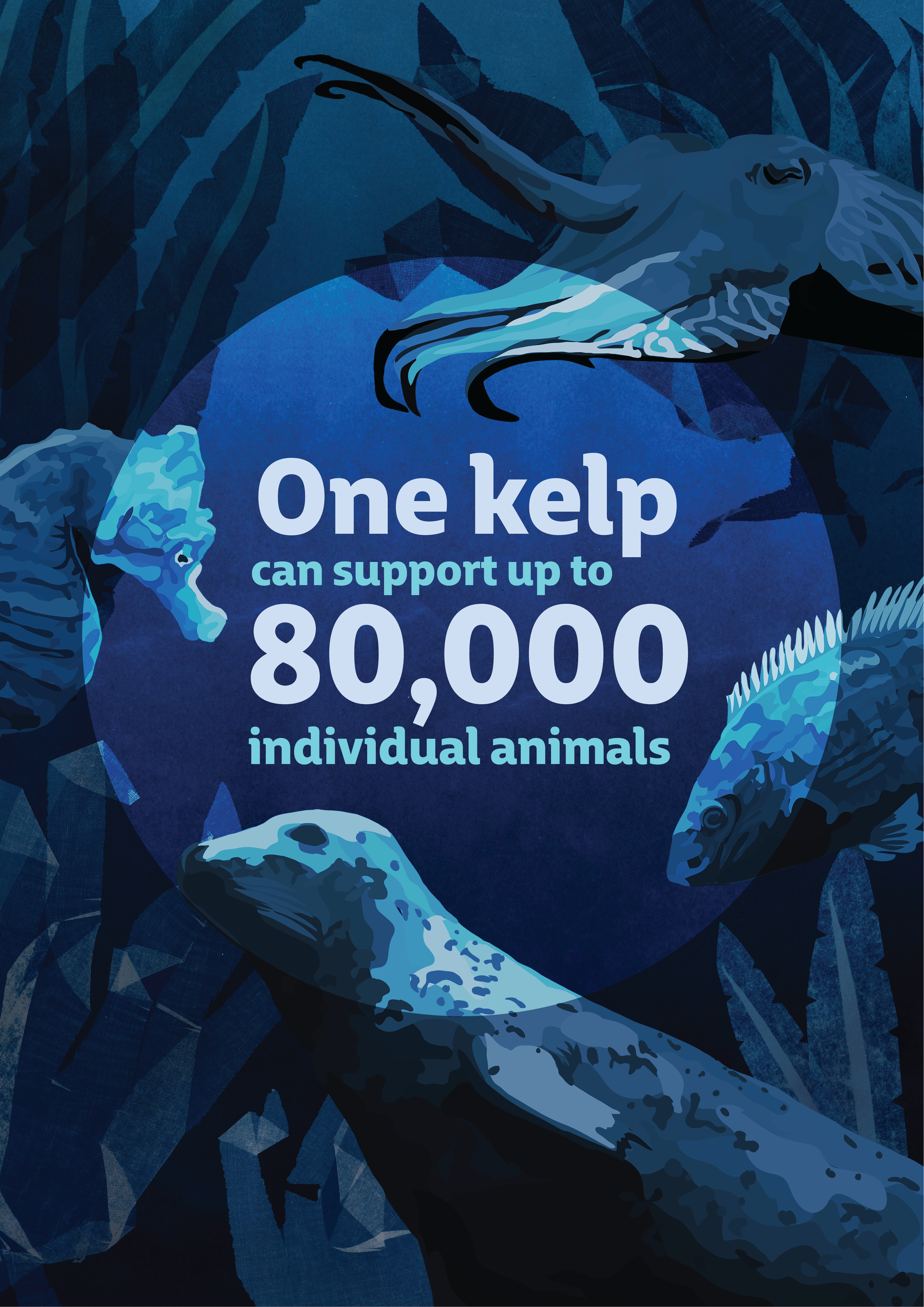 Combination 1 Outcome.png