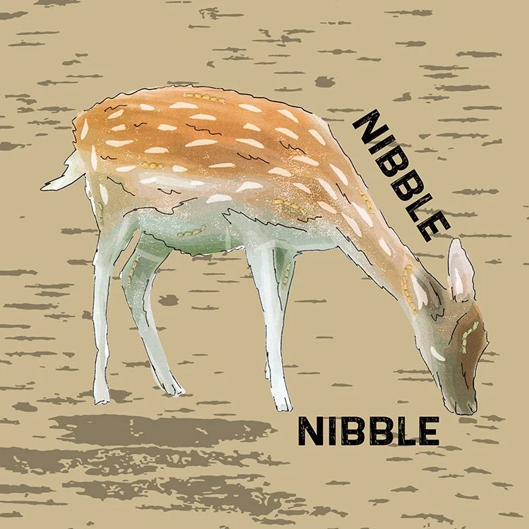 Folk Tent Cushion.jpg