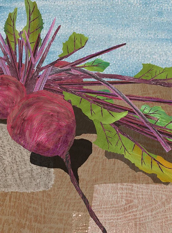 A digital collage image of two purple beets with green leaves and purple stems on a textured surface with a blue background.