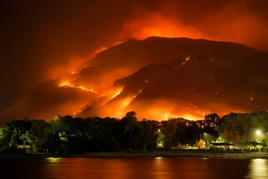 Climate change is a daily reality. Why are we still not discussing it? by Monica E. Unseld